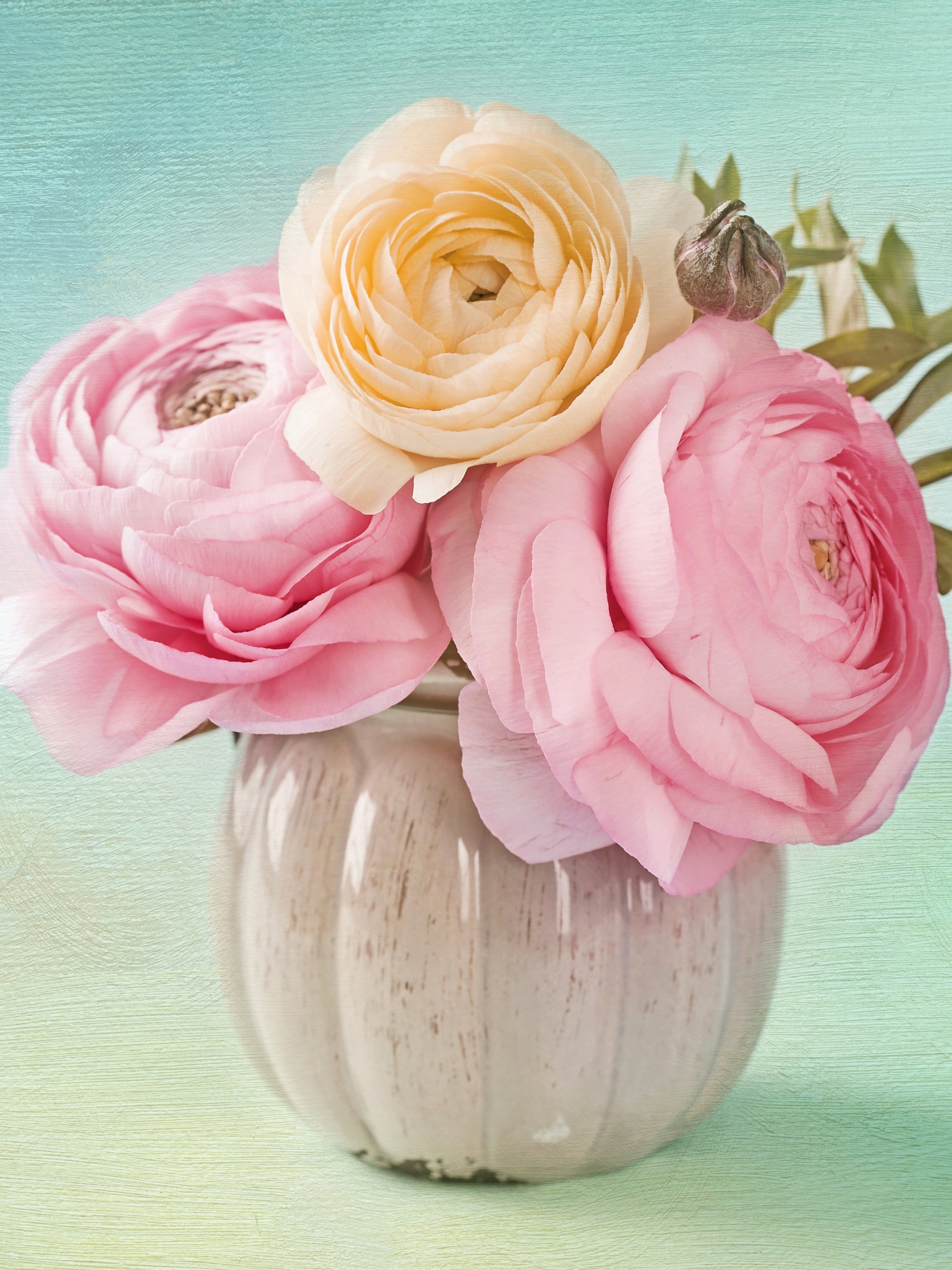 Handy-Wallpaper Blume, Rose, Menschengemacht, Pinke Blume, Zentifolie kostenlos herunterladen.