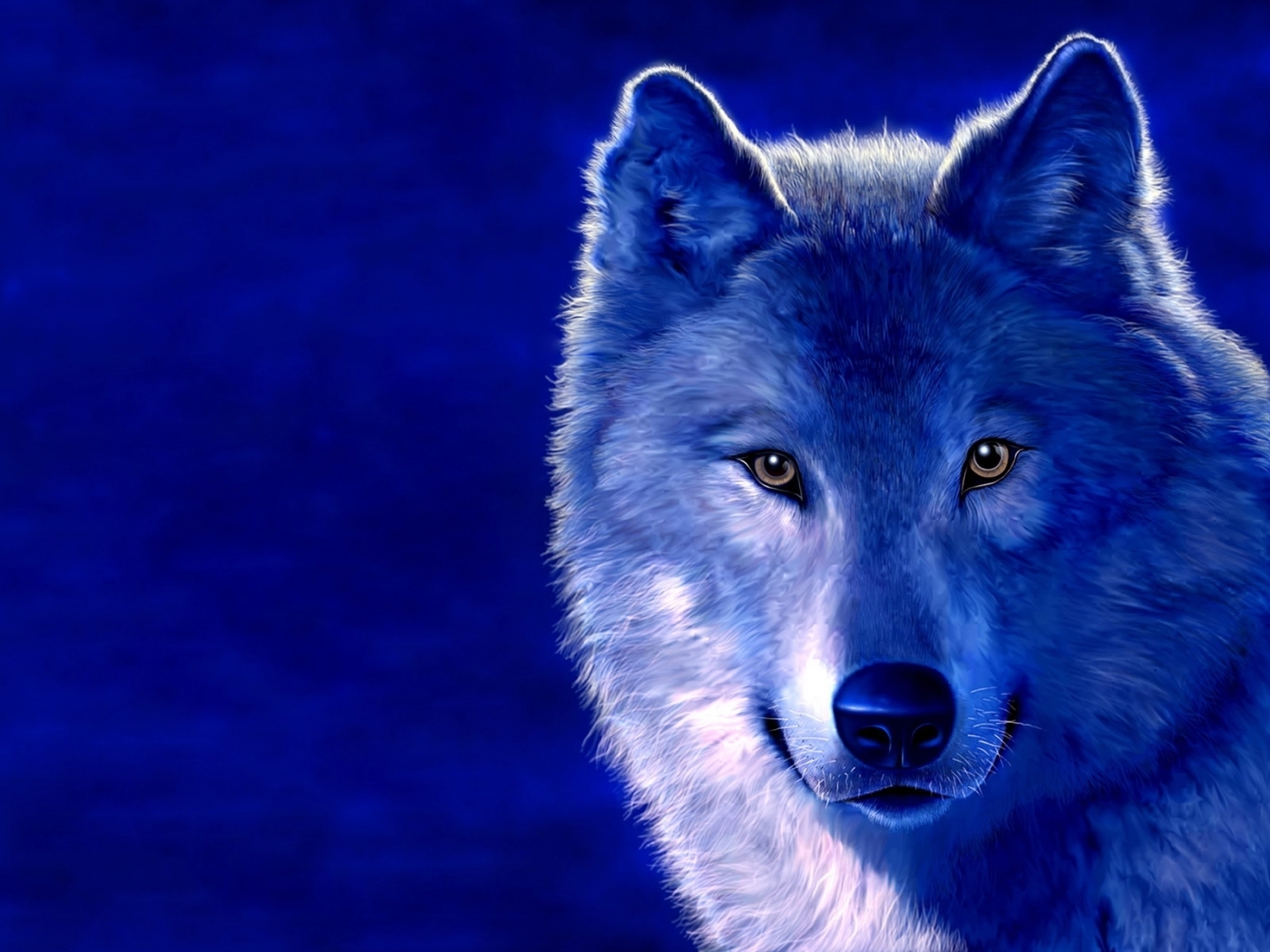 27516 скачать обои синие, волки, животные - заставки и картинки бесплатно