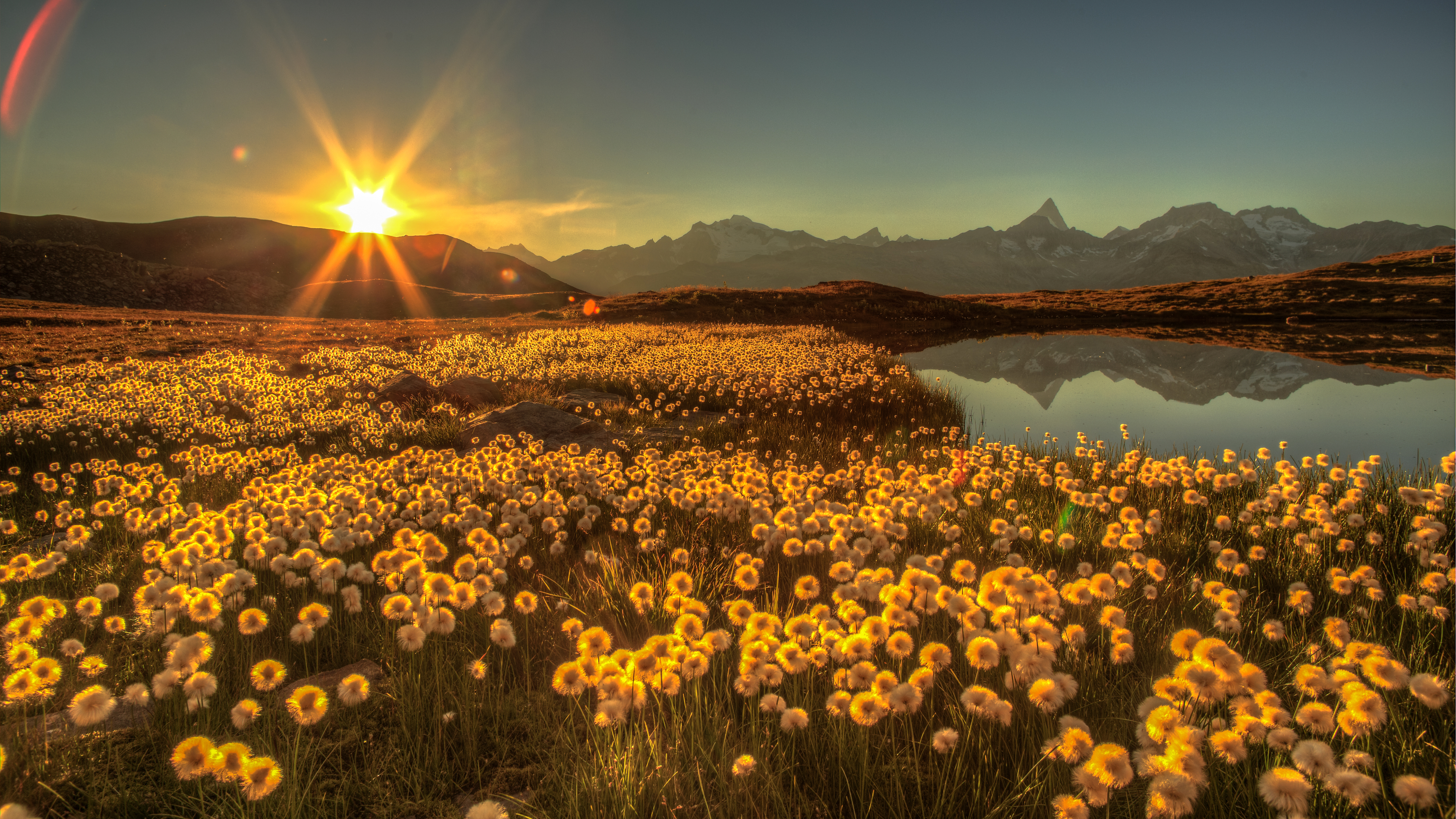 Free download wallpaper Landscape, Nature, Sun, Mountain, Lake, Flower, Earth, Sunbeam on your PC desktop