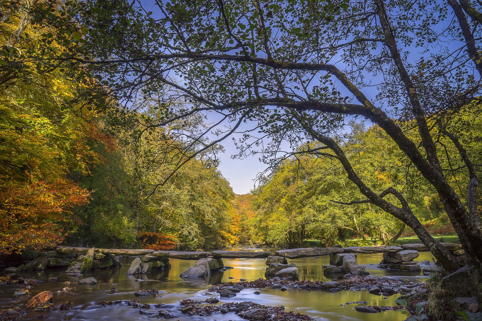 Téléchargez gratuitement l'image Arbre, La Nature, Terre/nature, Rivière sur le bureau de votre PC