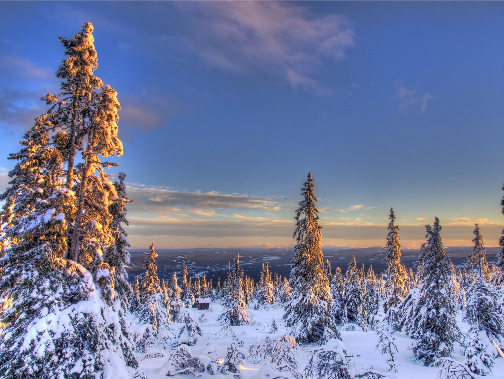 Free download wallpaper Winter, Snow, Earth, Spruce, Norway on your PC desktop