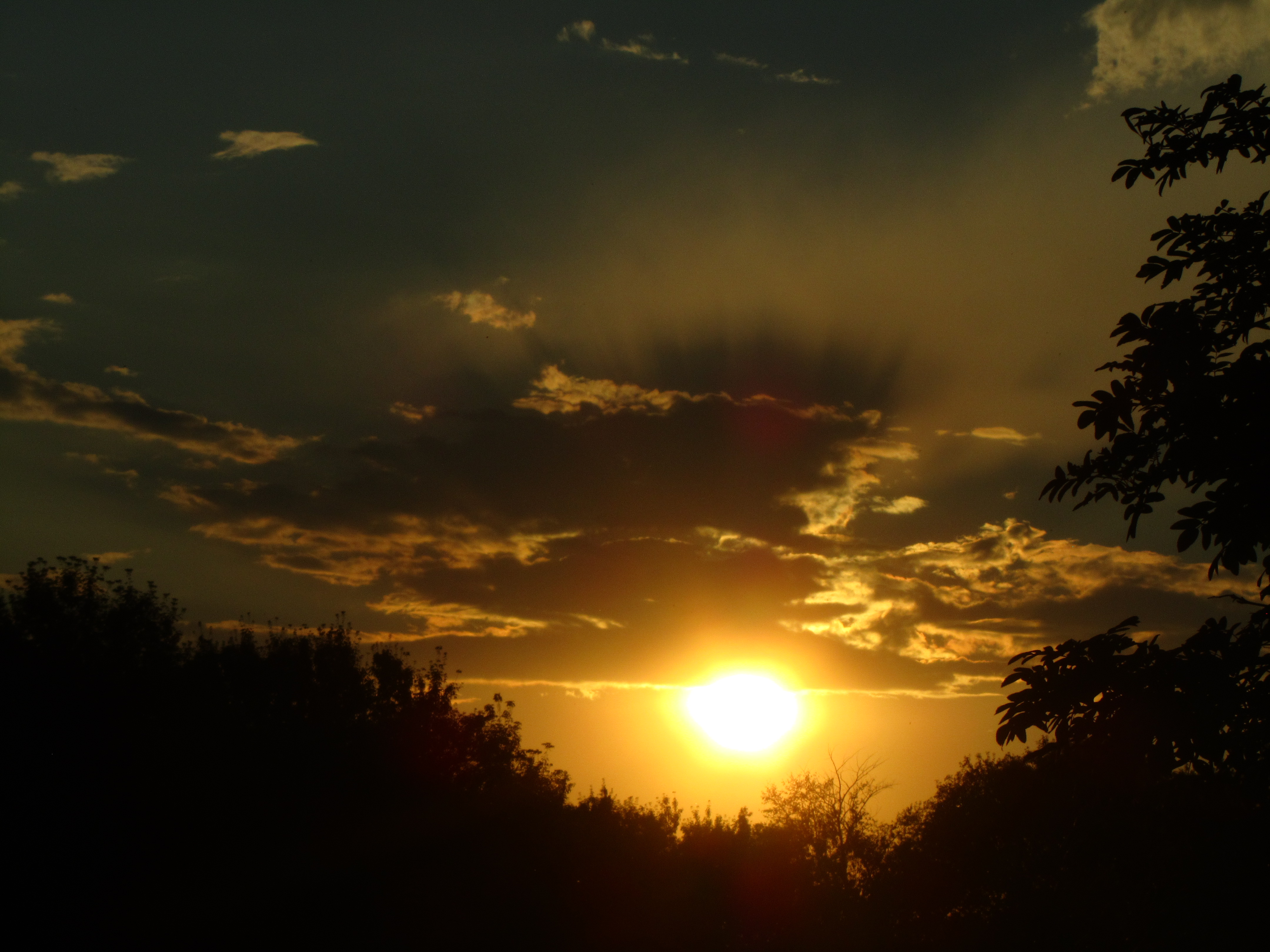 Descarga gratuita de fondo de pantalla para móvil de Atardecer, Tierra/naturaleza.