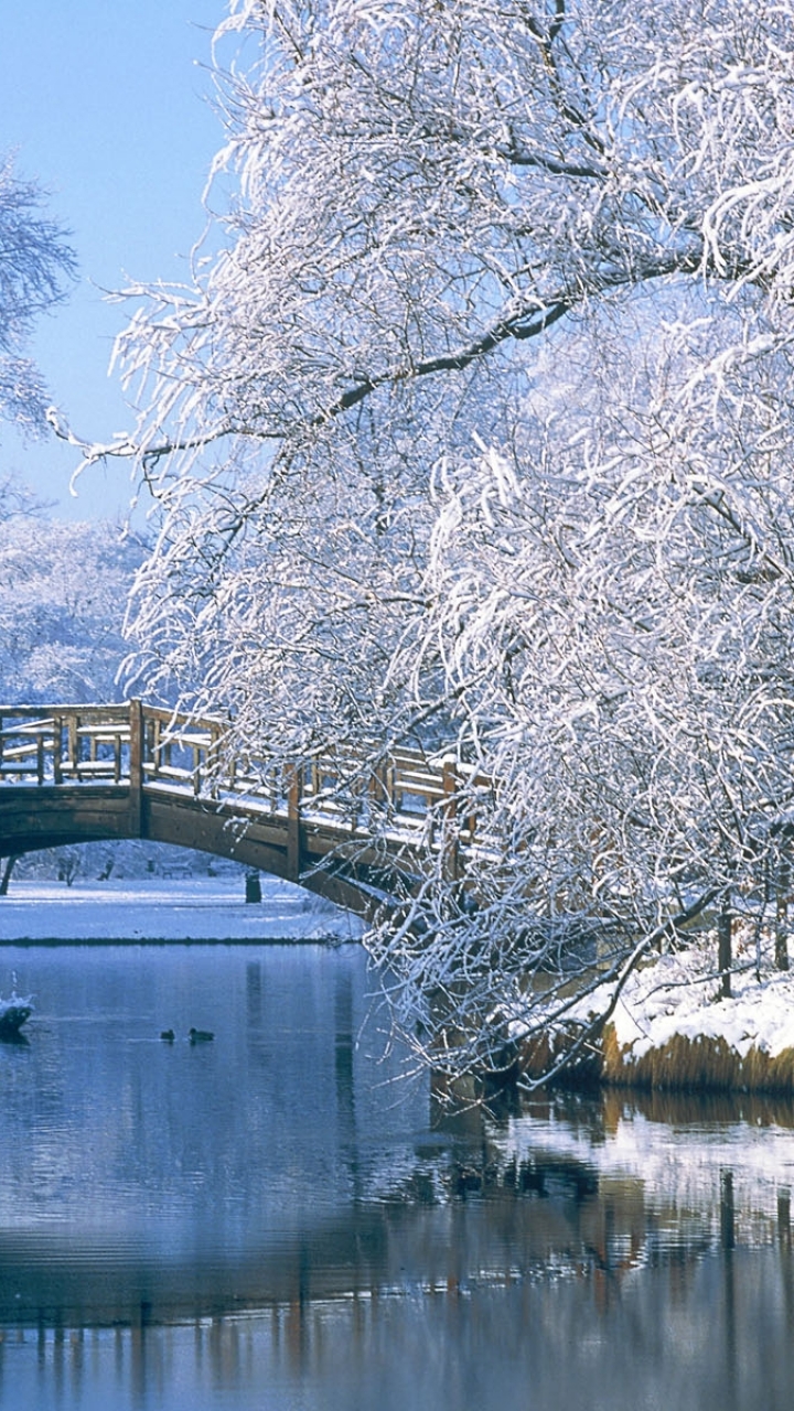 無料モバイル壁紙風景, 冬, 水, 橋, 木, 雪, 反射, 池, 写真撮影をダウンロードします。