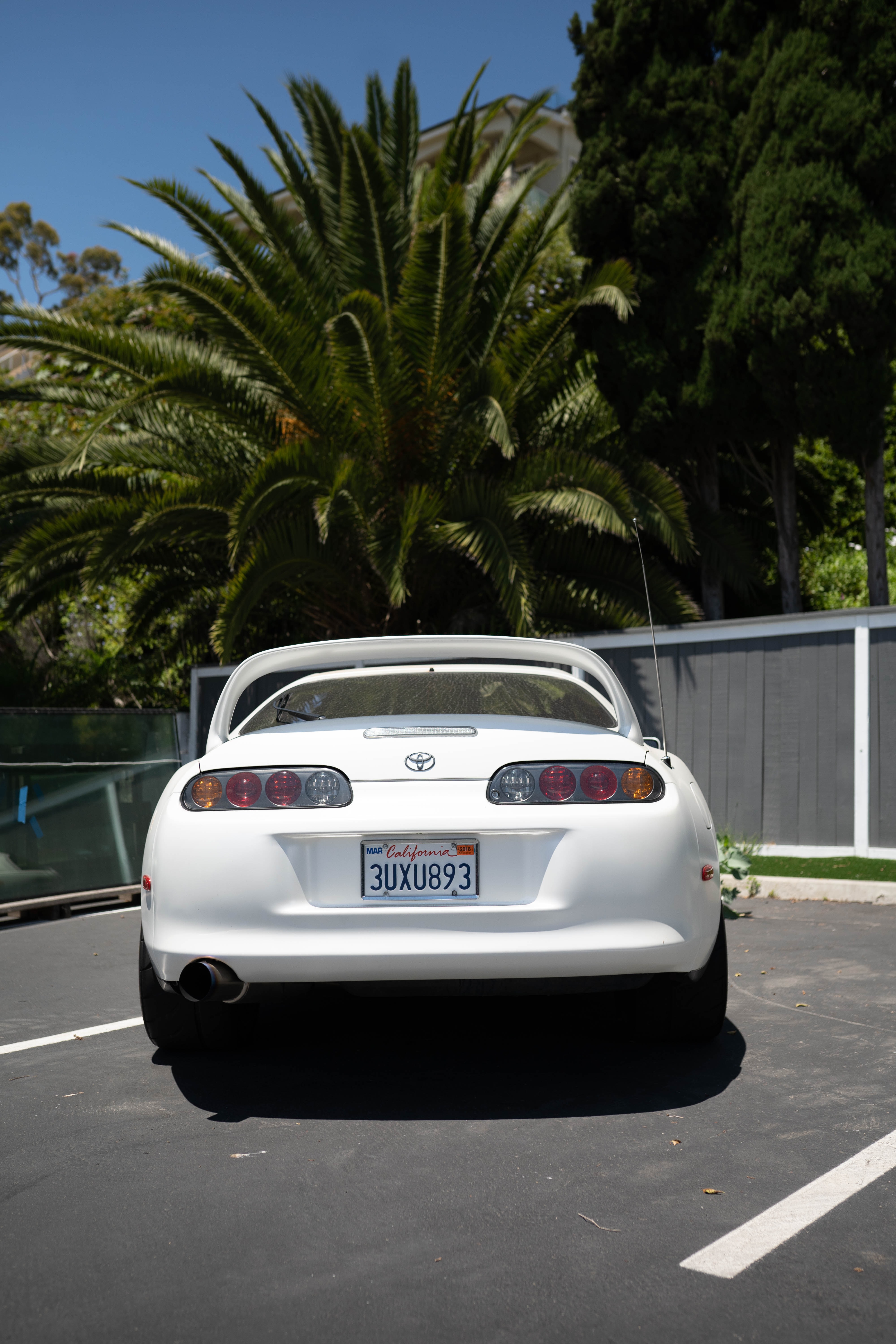 sports, toyota, cars, white, car, sports car, back view, rear view Panoramic Wallpaper