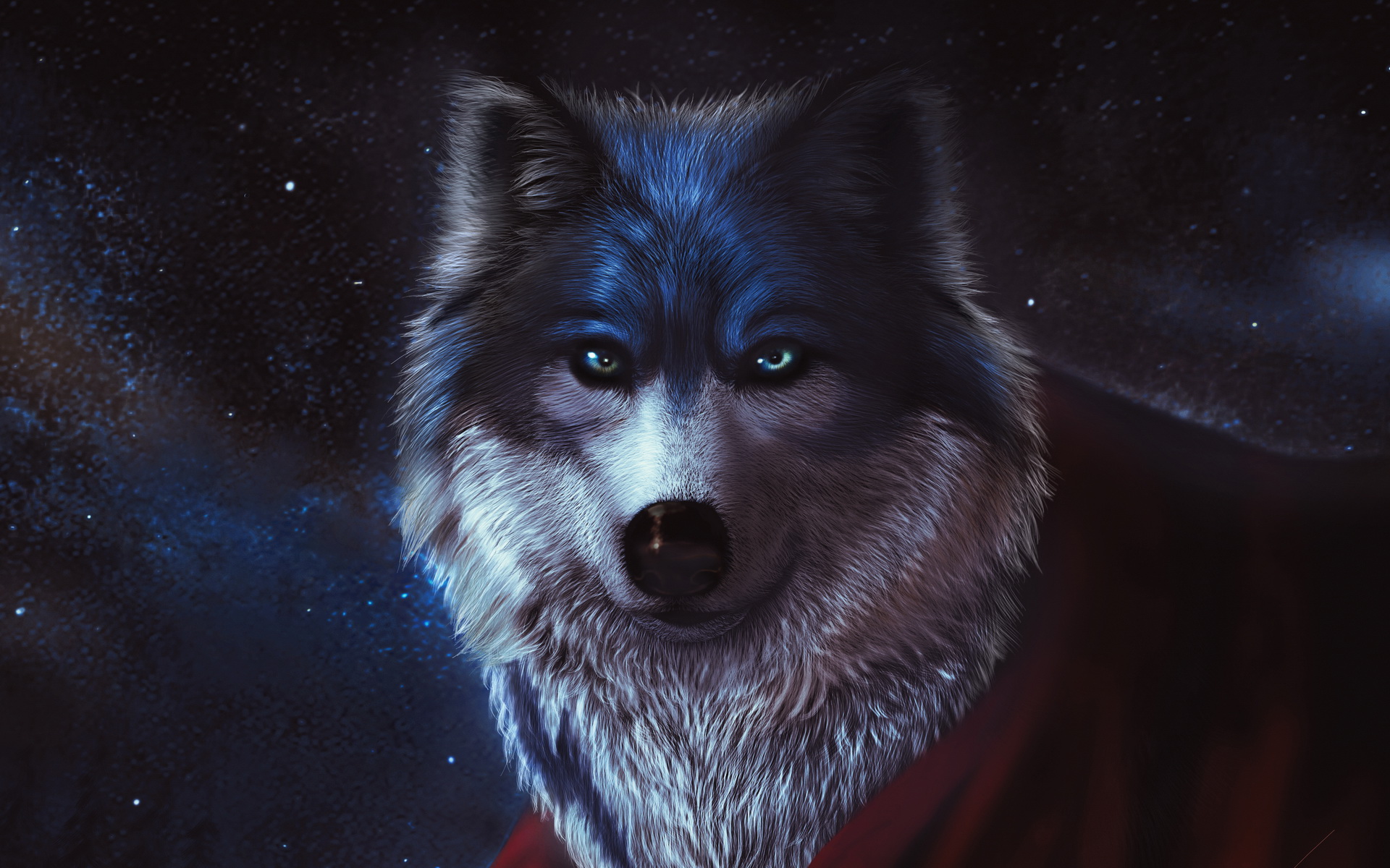 Descarga gratuita de fondo de pantalla para móvil de Wolves, Lobo, Animales, Noche.
