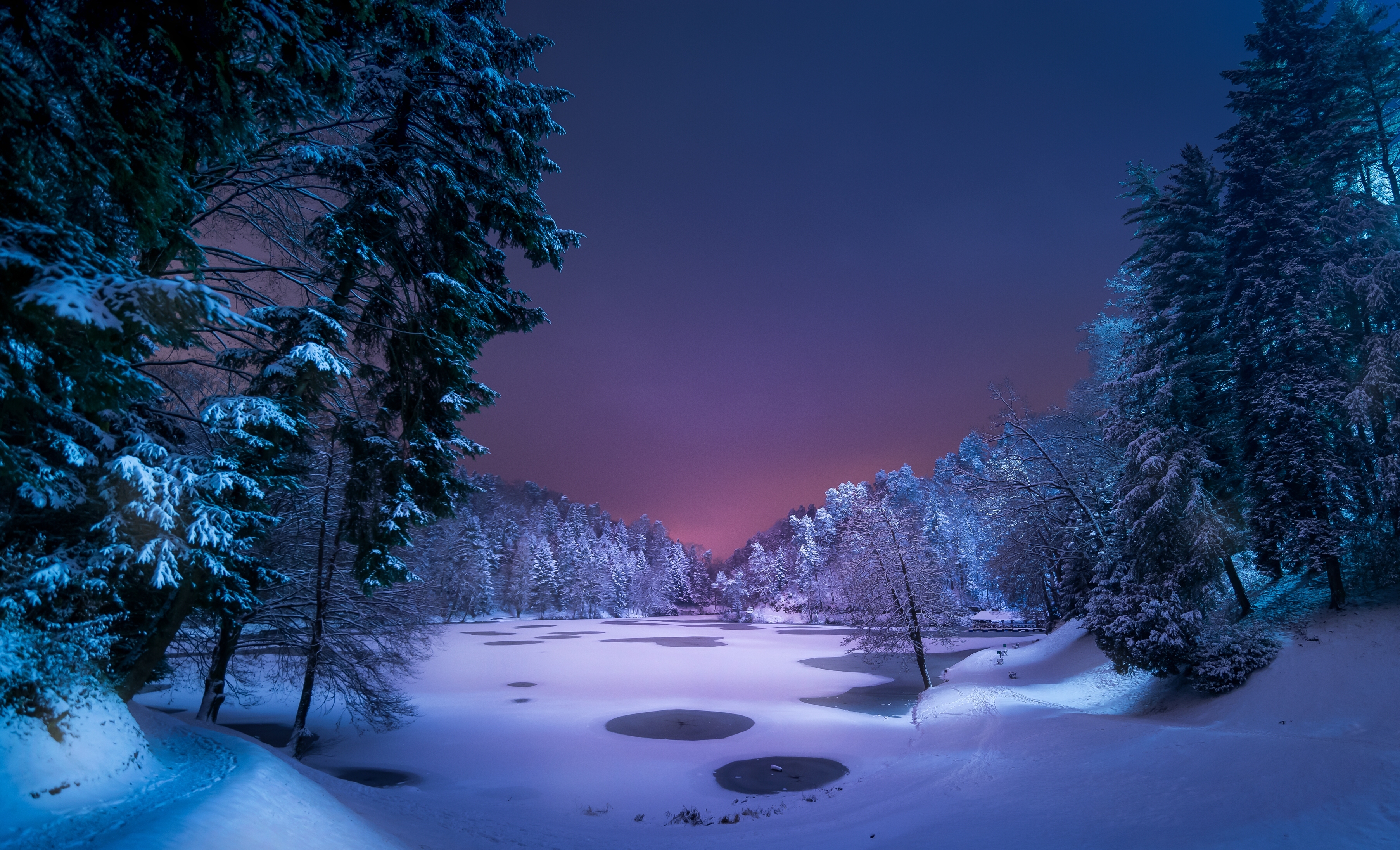 Free download wallpaper Winter, Snow, Forest, Tree, Earth, Dusk on your PC desktop