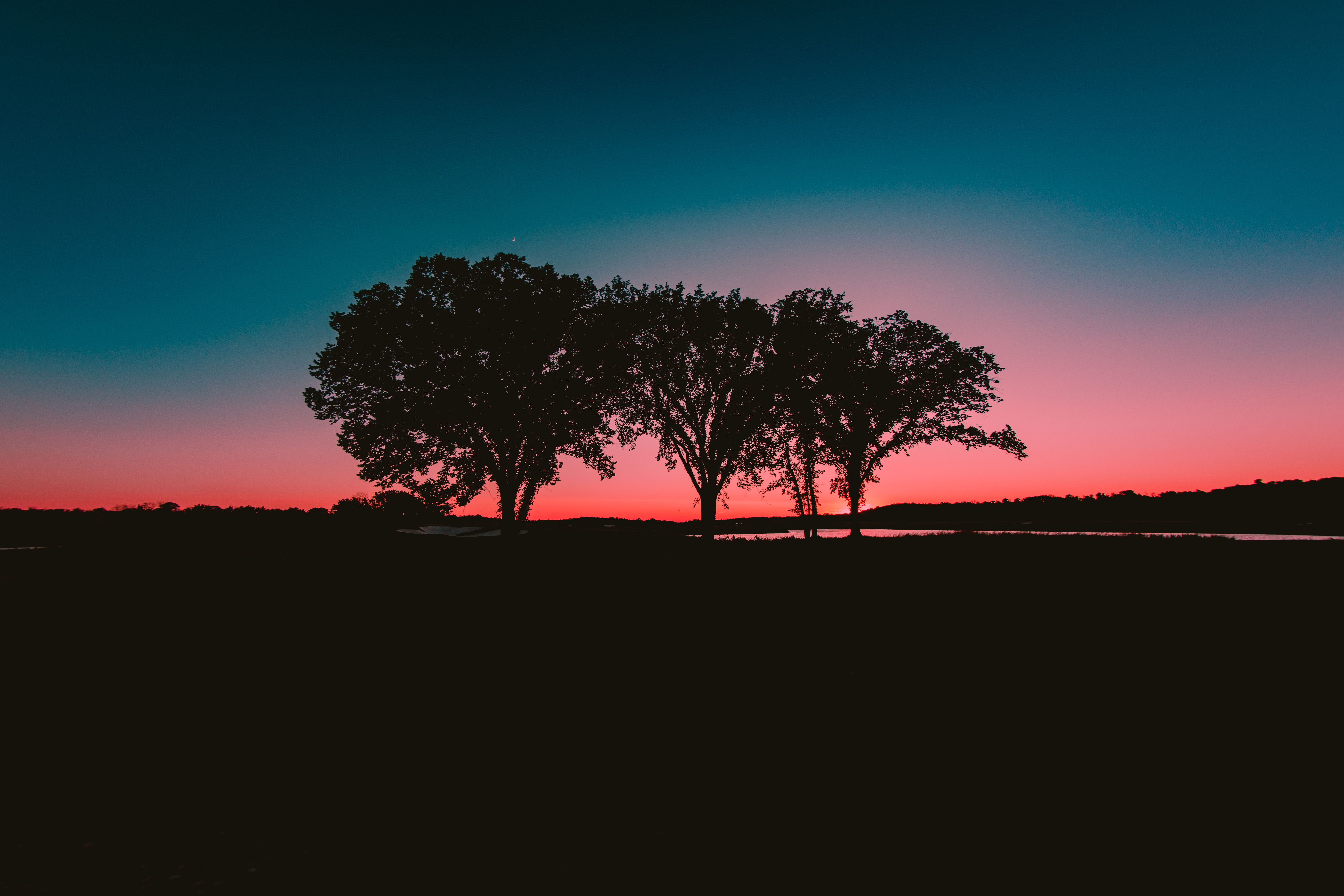 Download mobile wallpaper Trees, Nature, Horizon, Sunset for free.