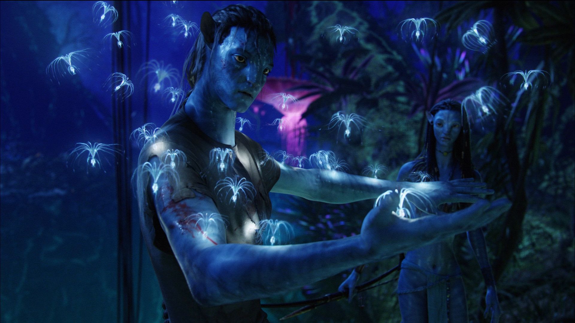 Téléchargez gratuitement l'image Avatar, Film sur le bureau de votre PC