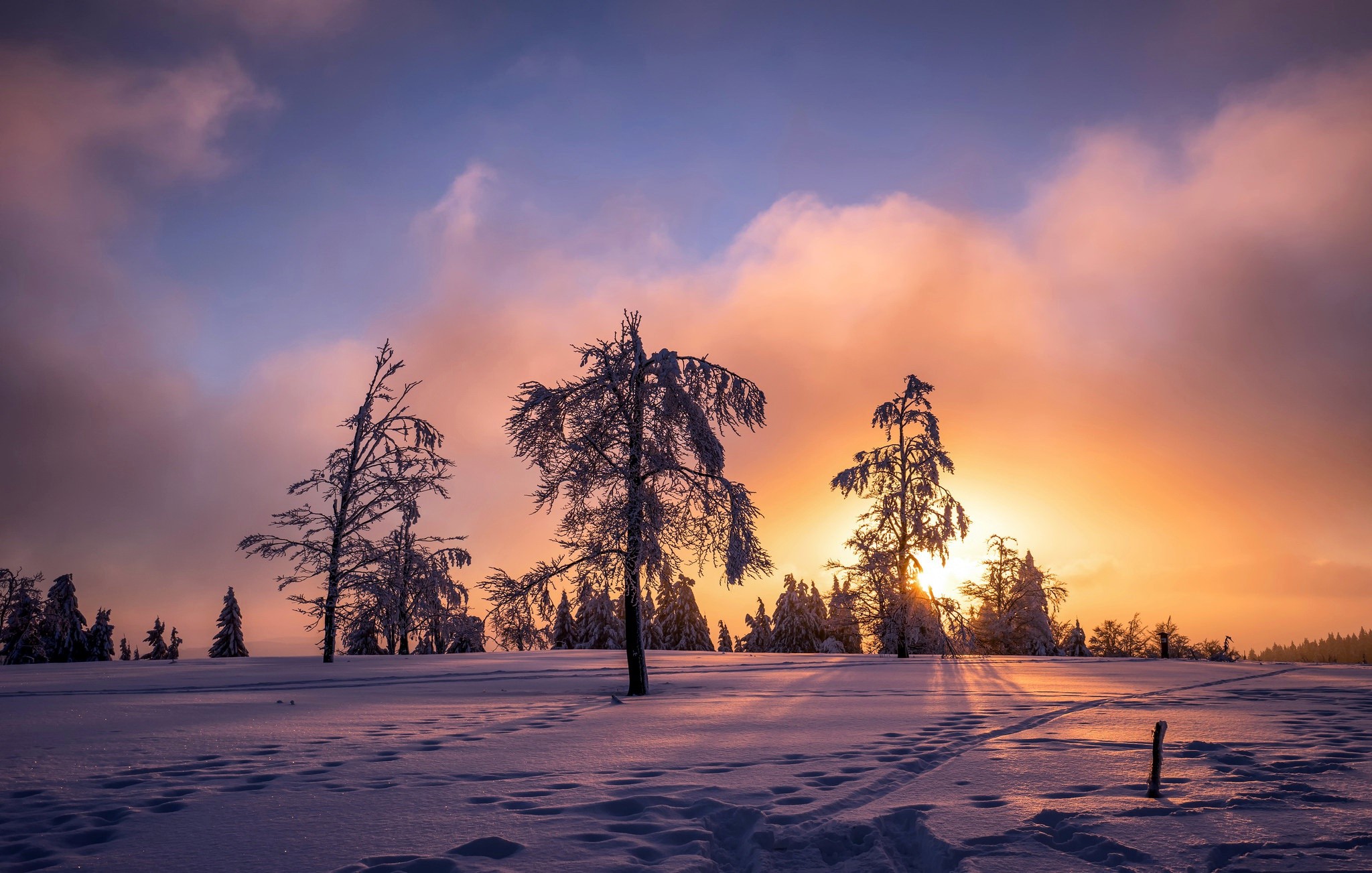 Download mobile wallpaper Winter, Sunset, Snow, Tree, Earth for free.