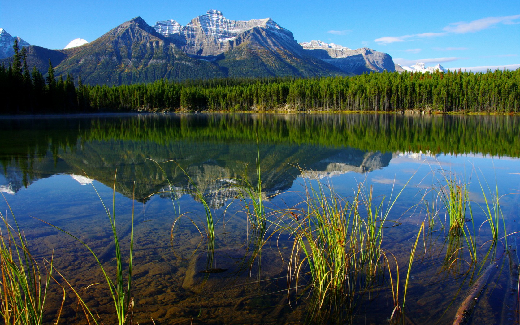 Descarga gratis la imagen Tierra/naturaleza, Reflejo en el escritorio de tu PC