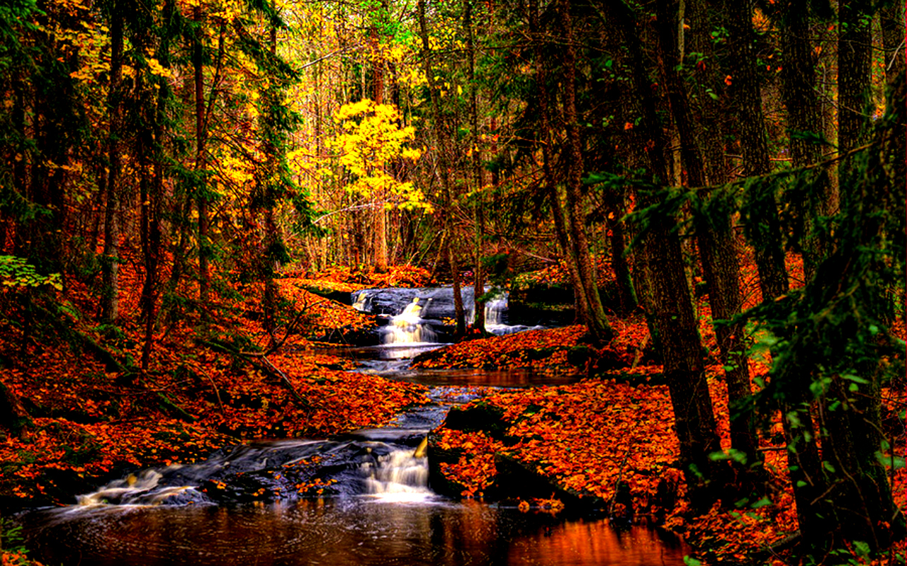 Laden Sie das Strom, Erde/natur-Bild kostenlos auf Ihren PC-Desktop herunter