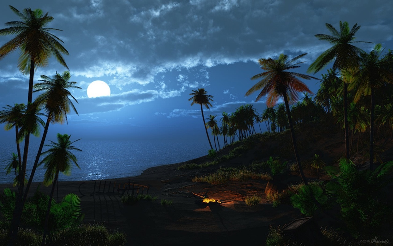 Download mobile wallpaper Palms, Landscape, Night for free.
