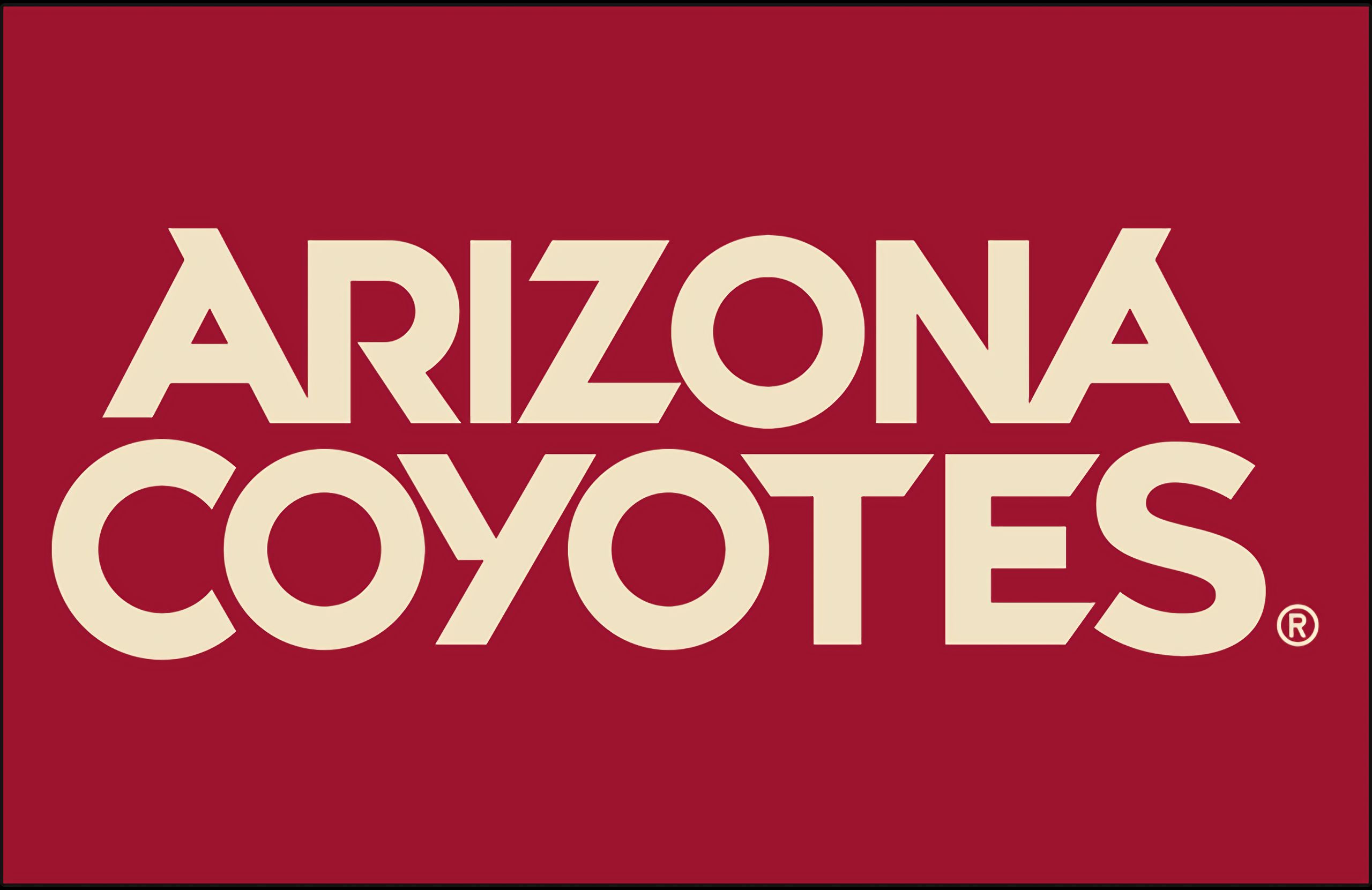 419265 télécharger l'image des sports, coyotes de l'arizona, le hockey - fonds d'écran et économiseurs d'écran gratuits
