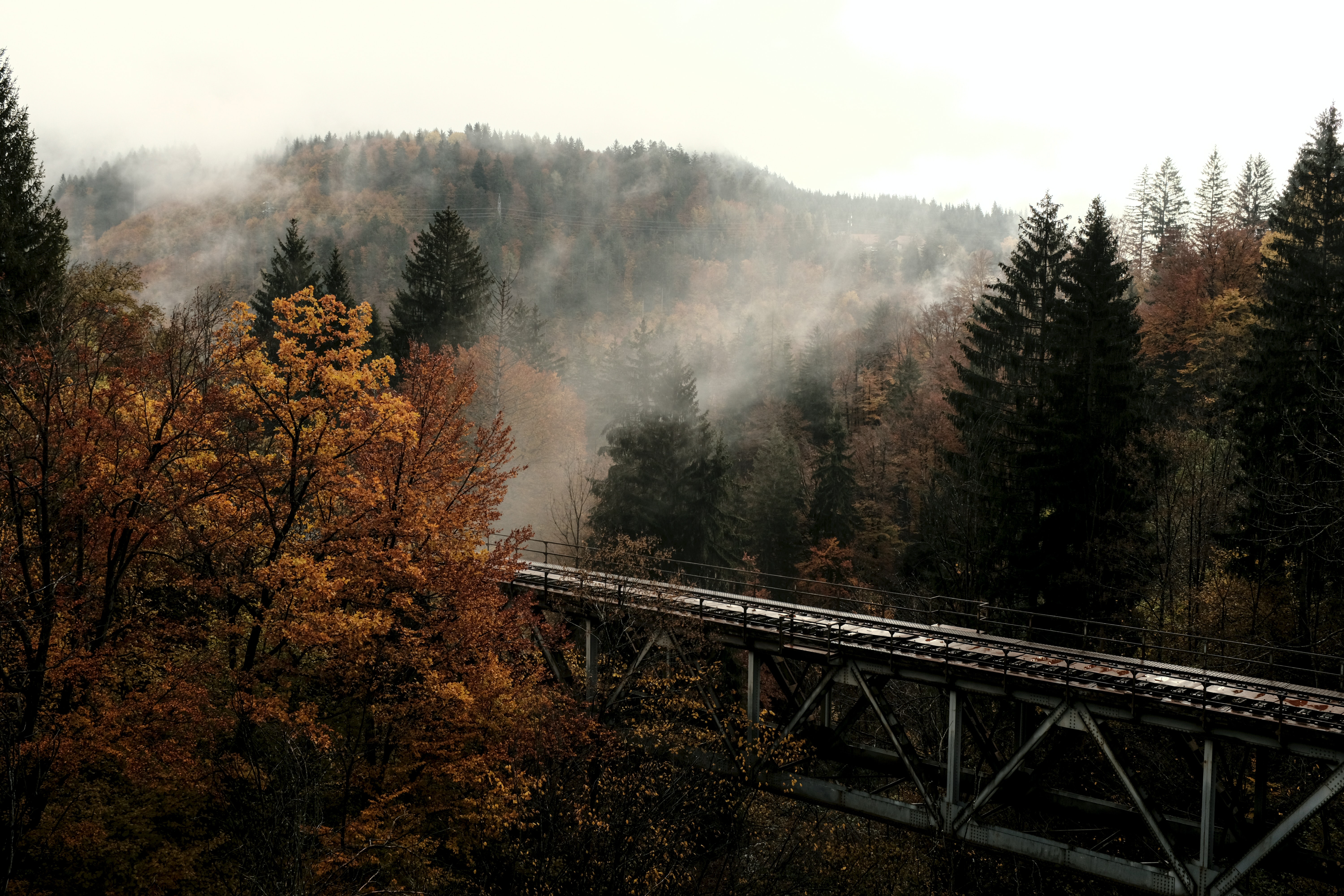 Download mobile wallpaper Fog, Forest, Bridge, Trees, Nature, Autumn for free.