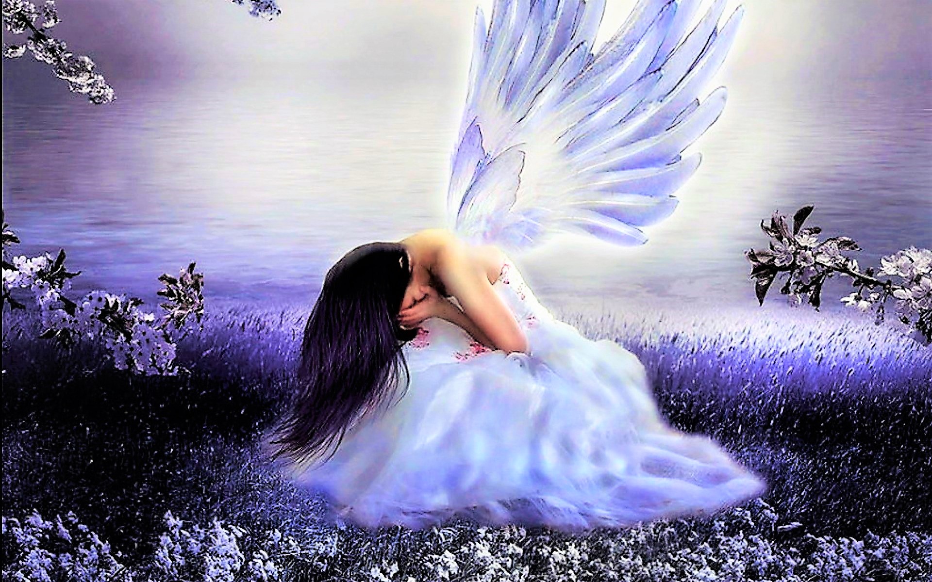 Free download wallpaper Fantasy, Flower, Purple, Wings, Sad, Angel, Crying on your PC desktop