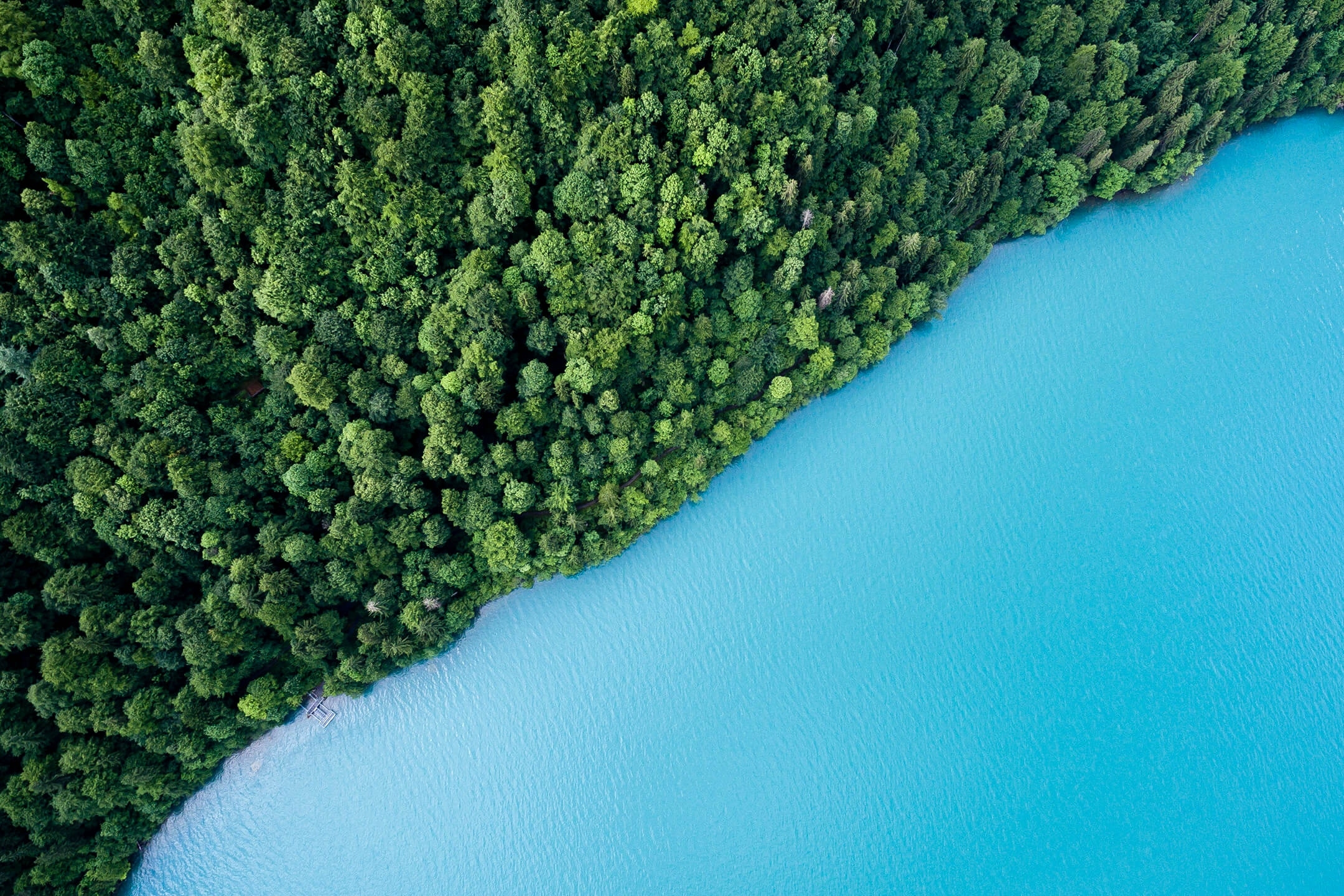 Free download wallpaper Water, Forest, Photography, Aerial, Shoreline on your PC desktop
