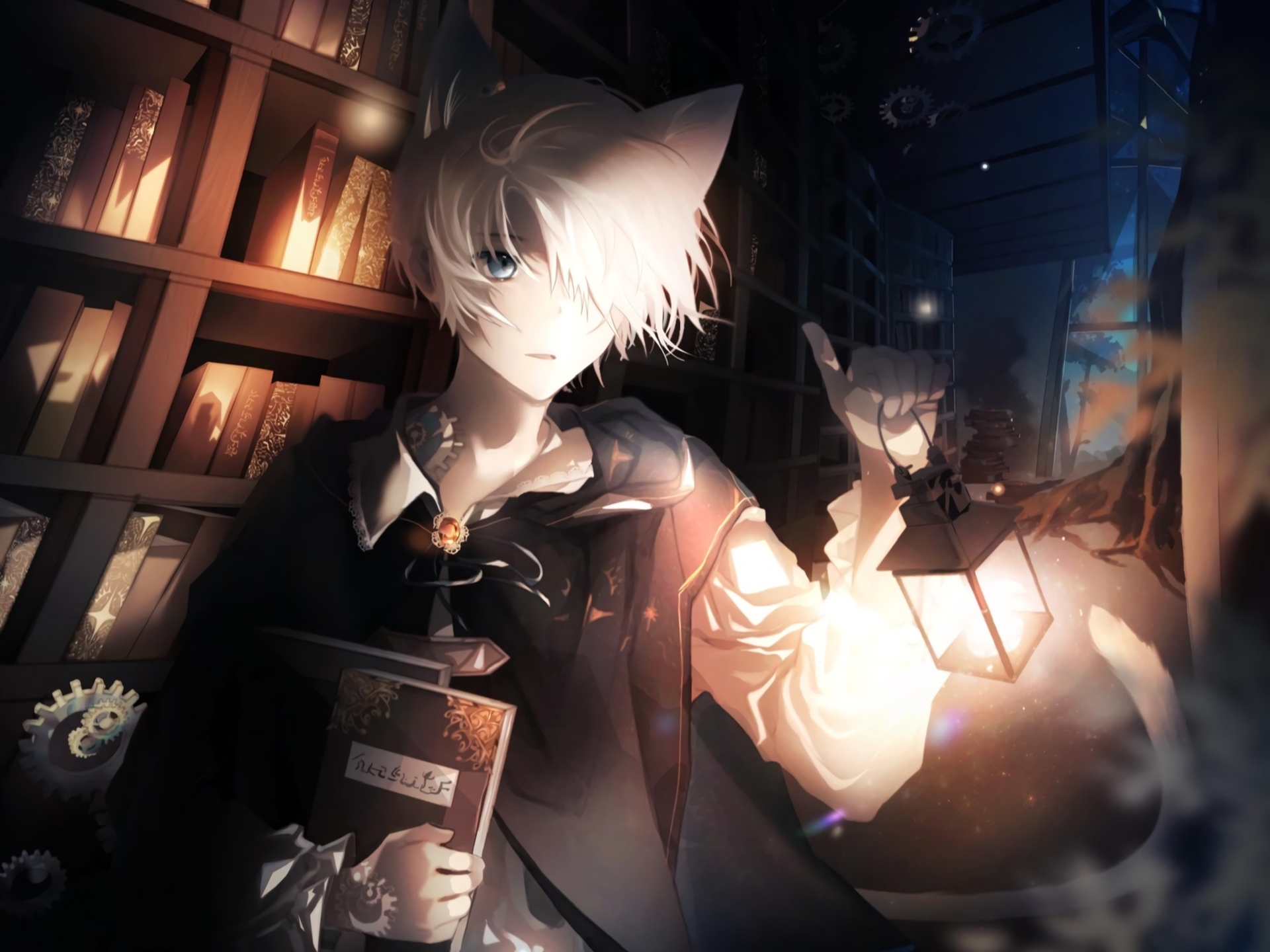 Download mobile wallpaper Anime, Light, Book, Original, White Hair, Animal Ears for free.