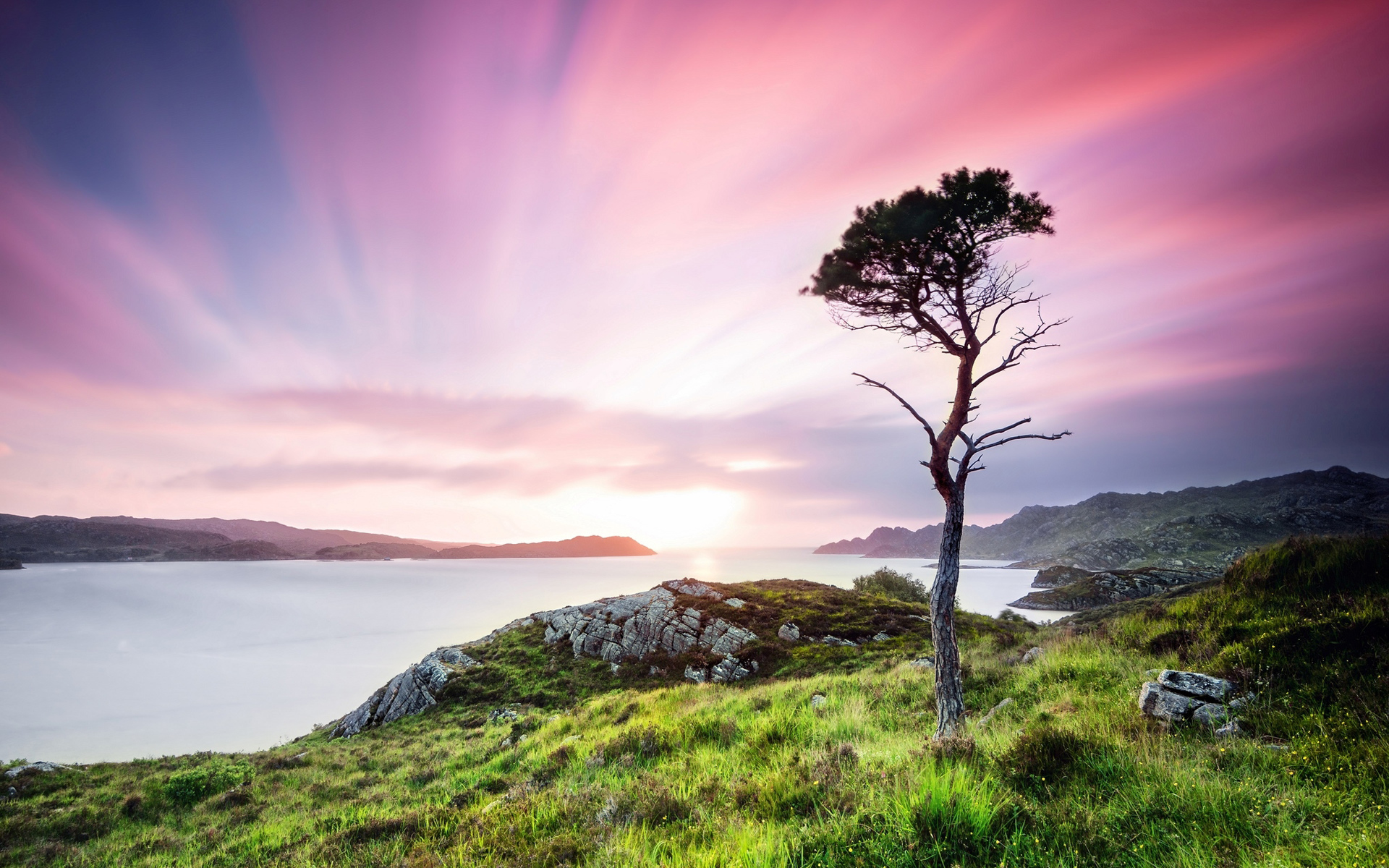 Скачать картинку Пейзаж, Природа, Закат, Море, Дерево, Шотландия, Земля/природа в телефон бесплатно.