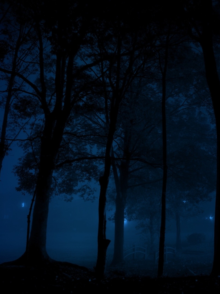 Download mobile wallpaper Night, Dark, Forest, Park, Tree, Earth, Photography for free.