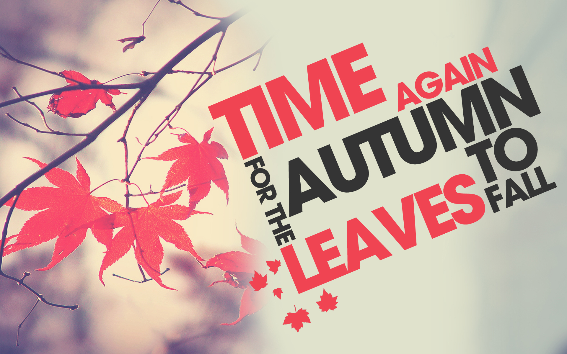Laden Sie das Herbst, Fotografie, Jahreszeit-Bild kostenlos auf Ihren PC-Desktop herunter
