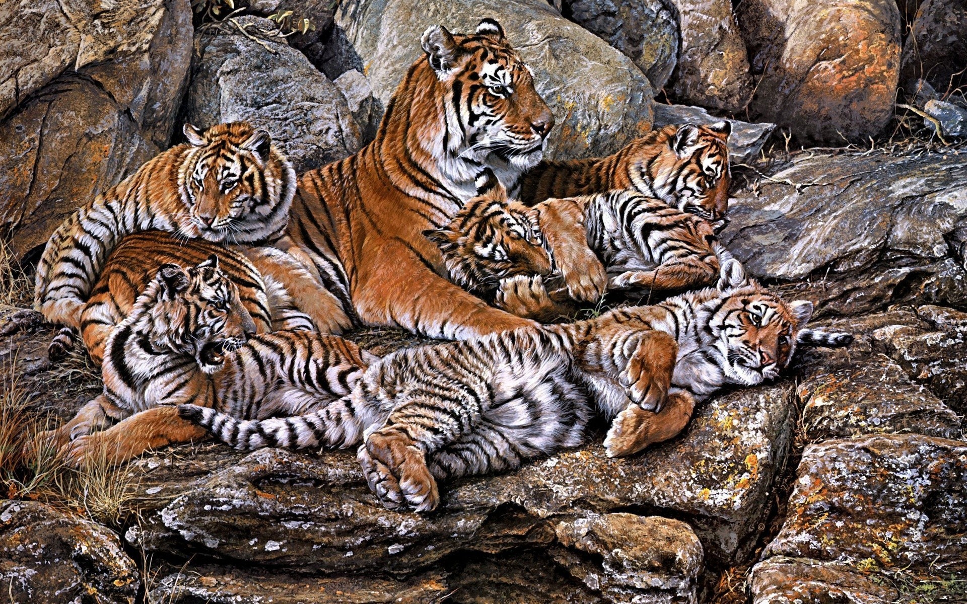 Скачать обои бесплатно Животные, Кошки, Тигр картинка на рабочий стол ПК