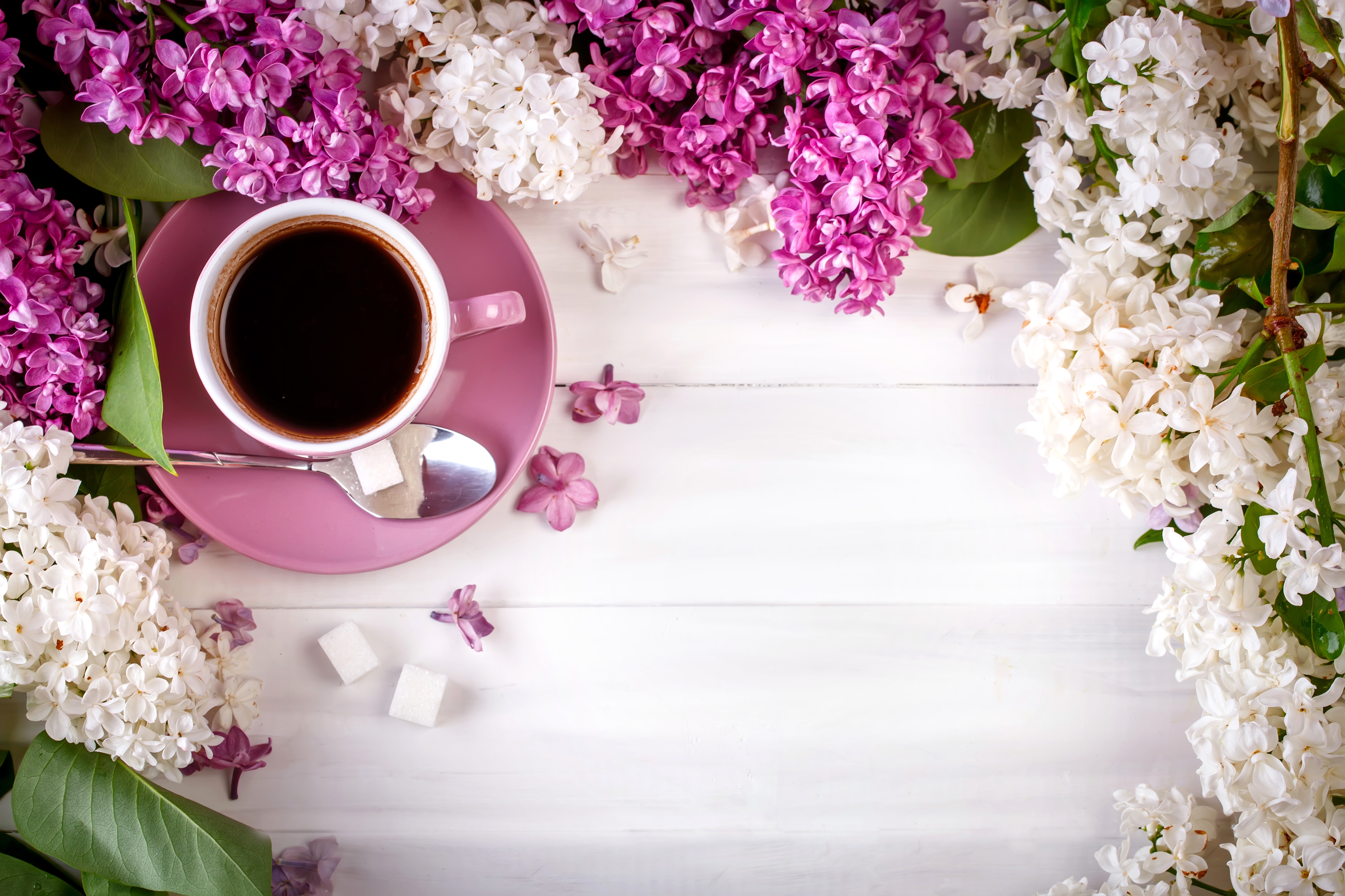 Handy-Wallpaper Blume, Tasse, Weiße Blume, Nahrungsmittel, Pinke Blume, Stillleben, Kaffee kostenlos herunterladen.