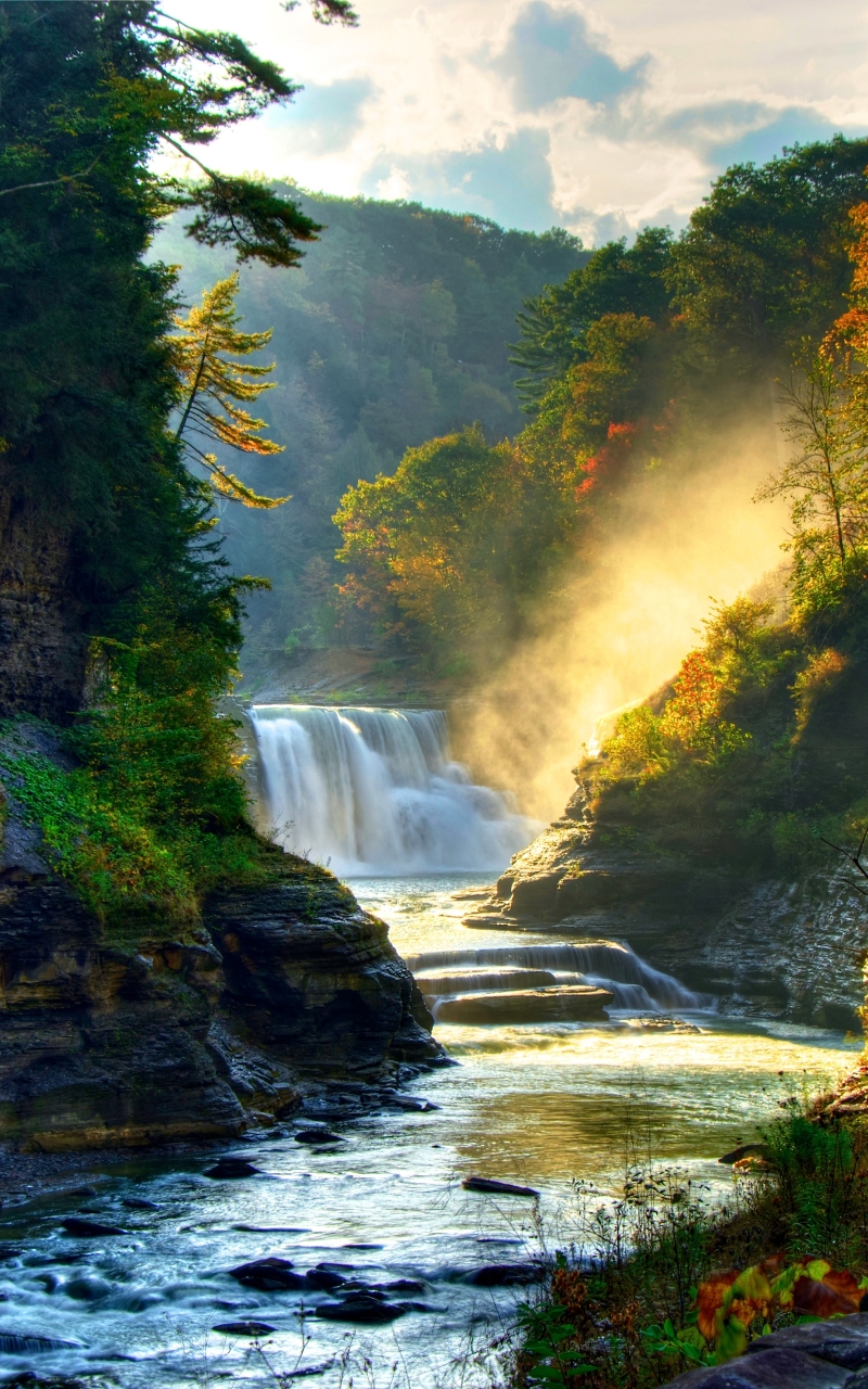 Descarga gratuita de fondo de pantalla para móvil de Naturaleza, Otoño, Cascadas, Cascada, Bosque, Tierra/naturaleza.