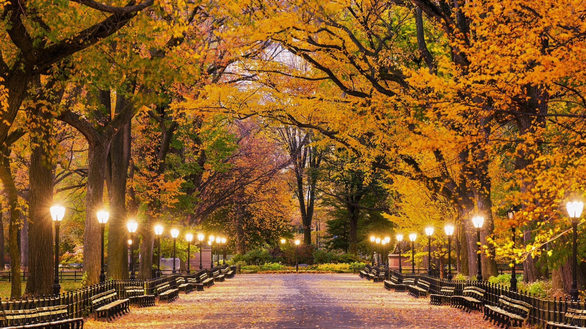 872522 скачать картинку осень, центральный парк, парк, сделано человеком, уличный фонарь, свет, нью йорк - обои и заставки бесплатно