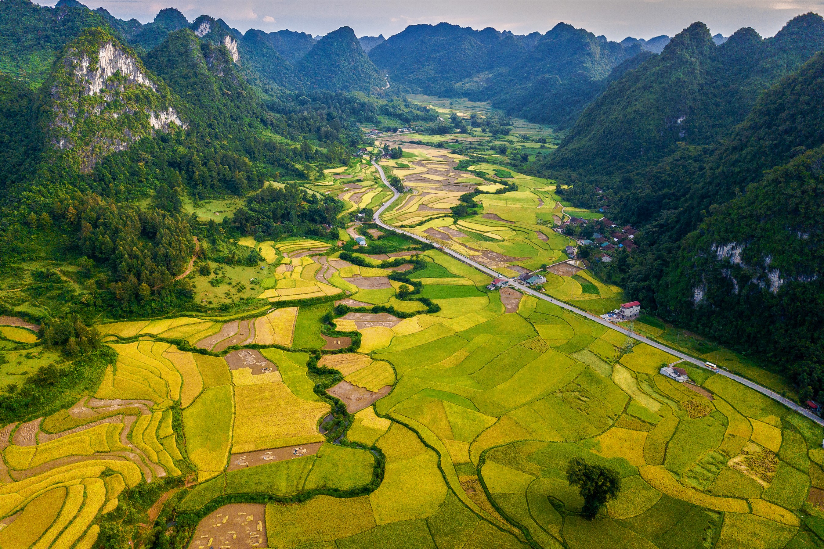Laden Sie das Landschaft, Feld, Gebirge, Tal, Vietnam, Erde/natur-Bild kostenlos auf Ihren PC-Desktop herunter