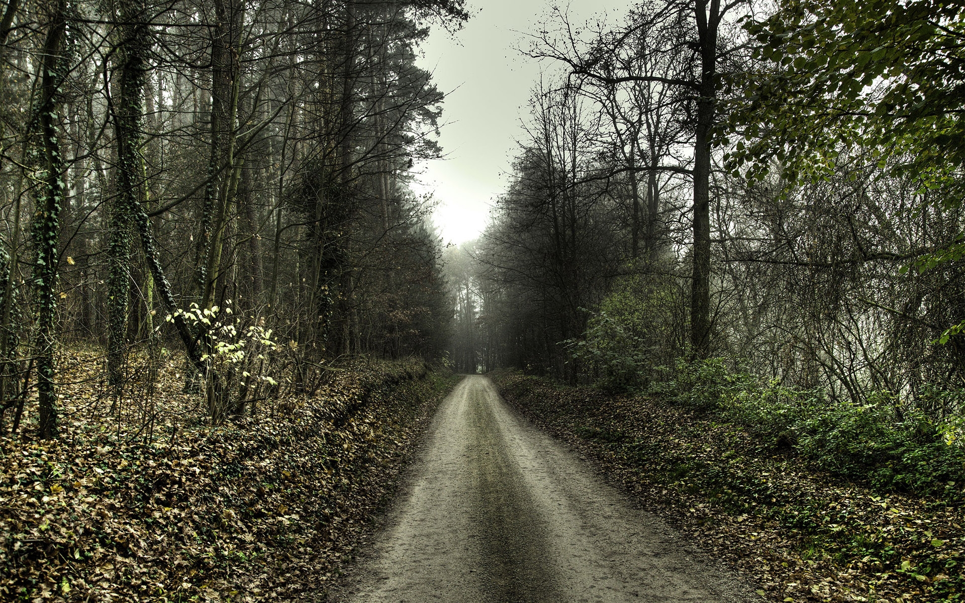 Download mobile wallpaper Road, Man Made for free.