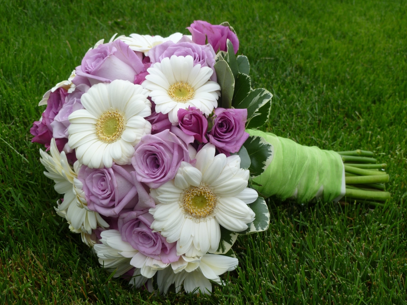 Laden Sie das Bouquets, Pflanzen, Blumen-Bild kostenlos auf Ihren PC-Desktop herunter