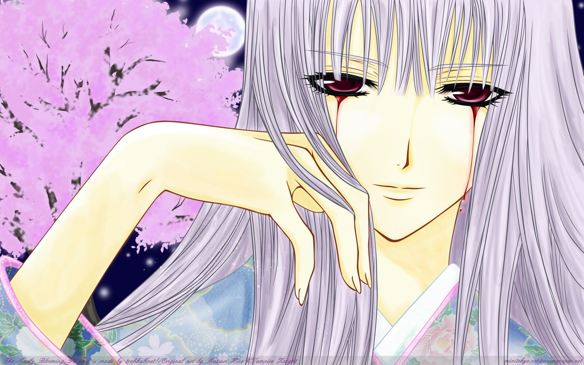 Laden Sie das Blut, Animes, Vampire Knight, Shizuka Hallo-Bild kostenlos auf Ihren PC-Desktop herunter