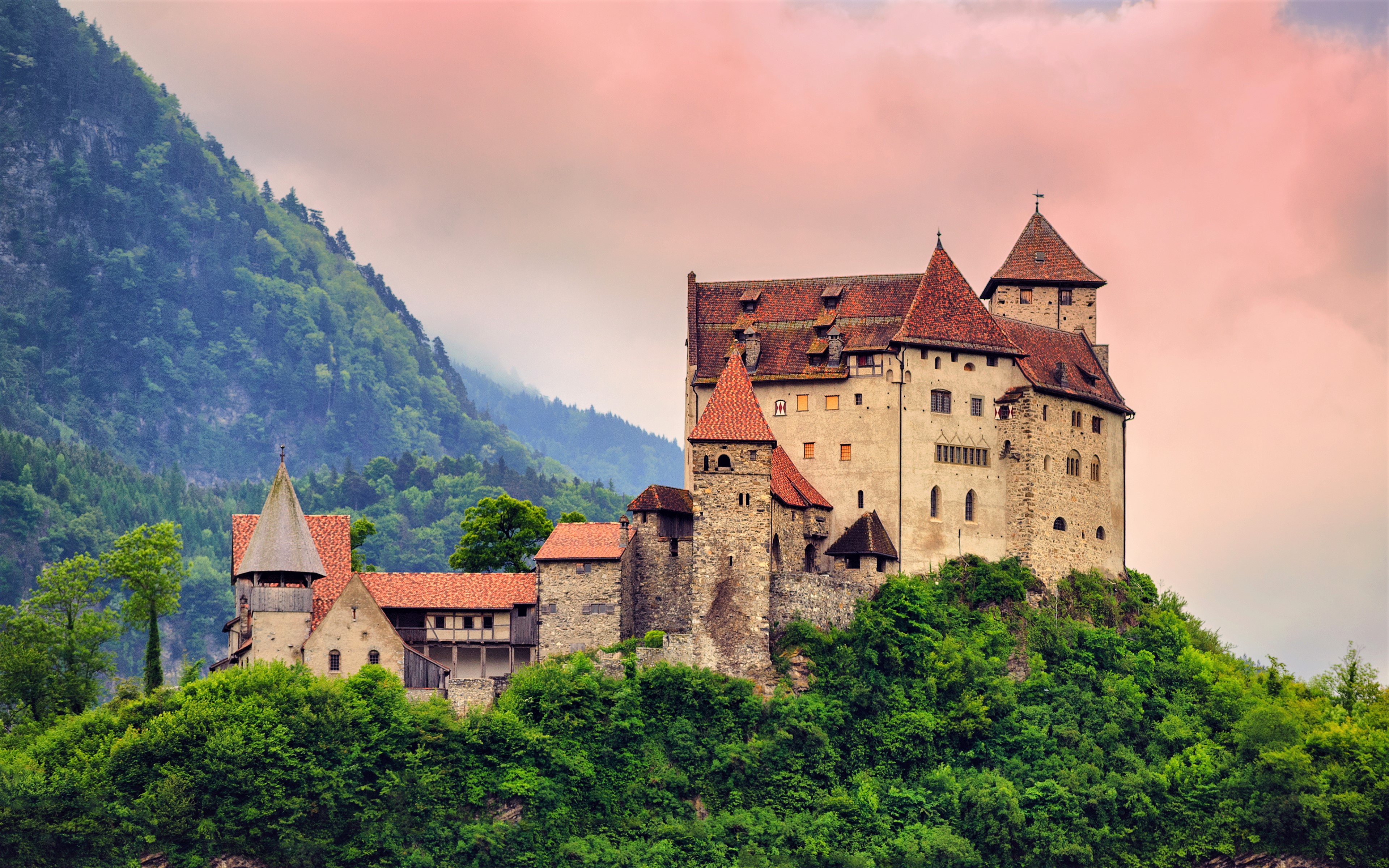 Descarga gratuita de fondo de pantalla para móvil de Castillos, Montaña, Bosque, Hecho Por El Hombre, Castillo.