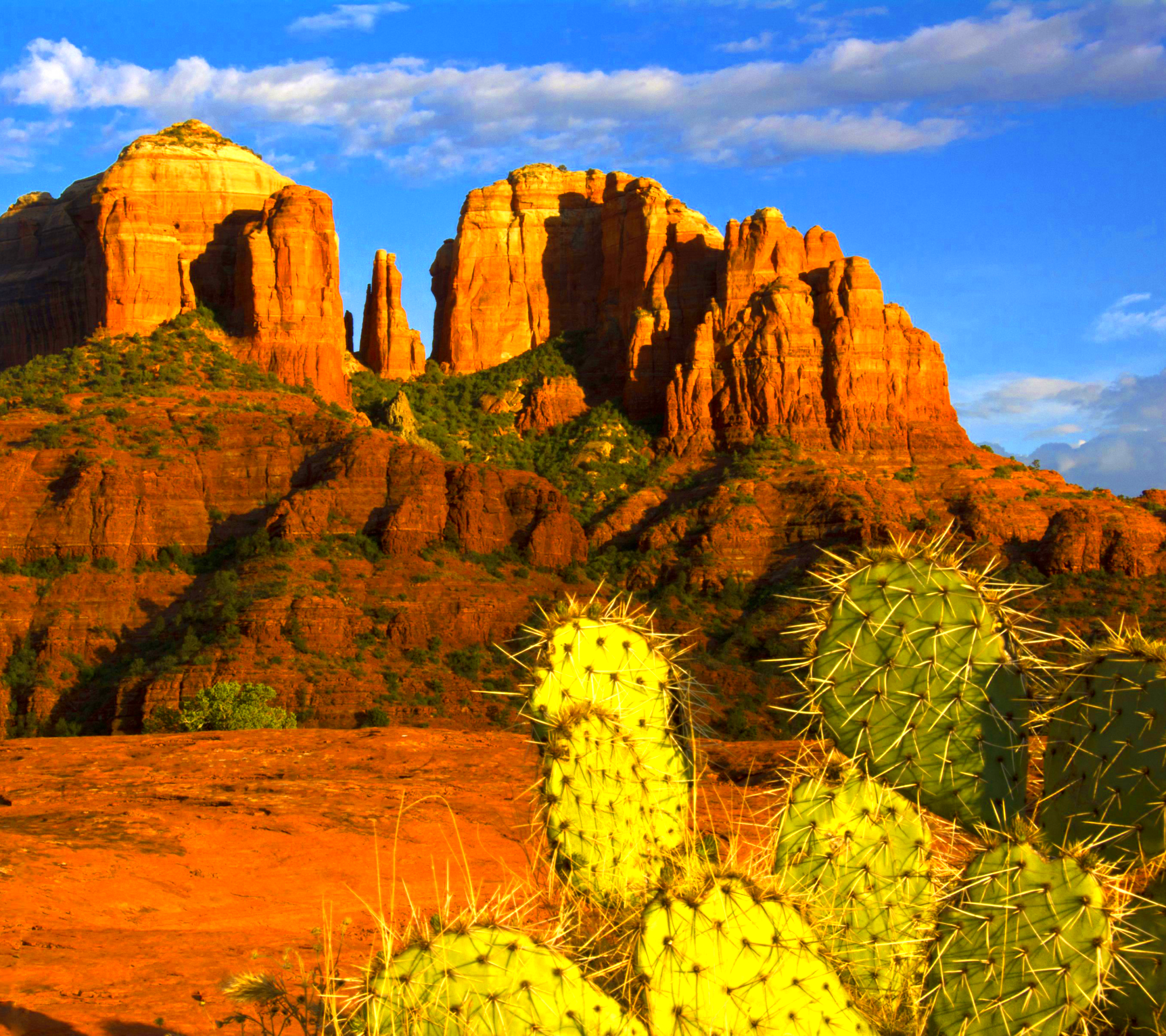 Download mobile wallpaper Desert, Earth, Cactus, Arizona, Sedona for free.