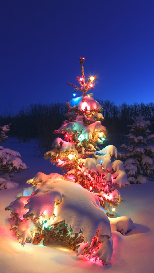 Download mobile wallpaper Winter, Snow, Christmas, Holiday, Christmas Tree, Christmas Lights for free.