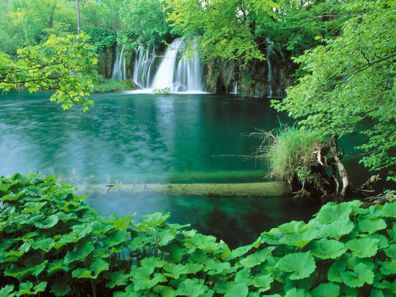 Скачать картинку Водопады, Озеро, Водопад, Лес, Дерево, Зеленый, Земля/природа в телефон бесплатно.