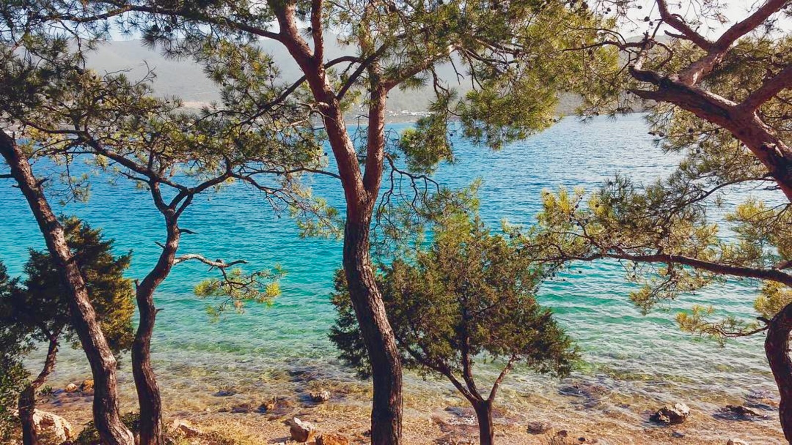 Téléchargez gratuitement l'image Mer, Arbre, Terre, La Nature, Terre/nature sur le bureau de votre PC