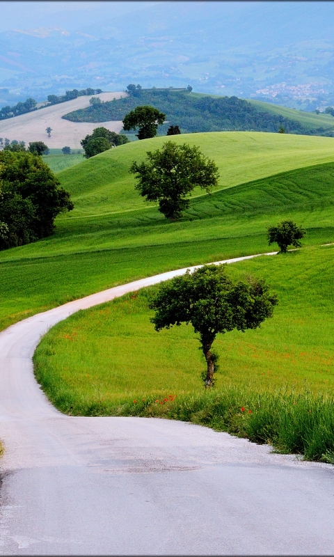Download mobile wallpaper Landscape, Nature, Grass, Road, Tree, Earth, Field, Hill, Photography for free.