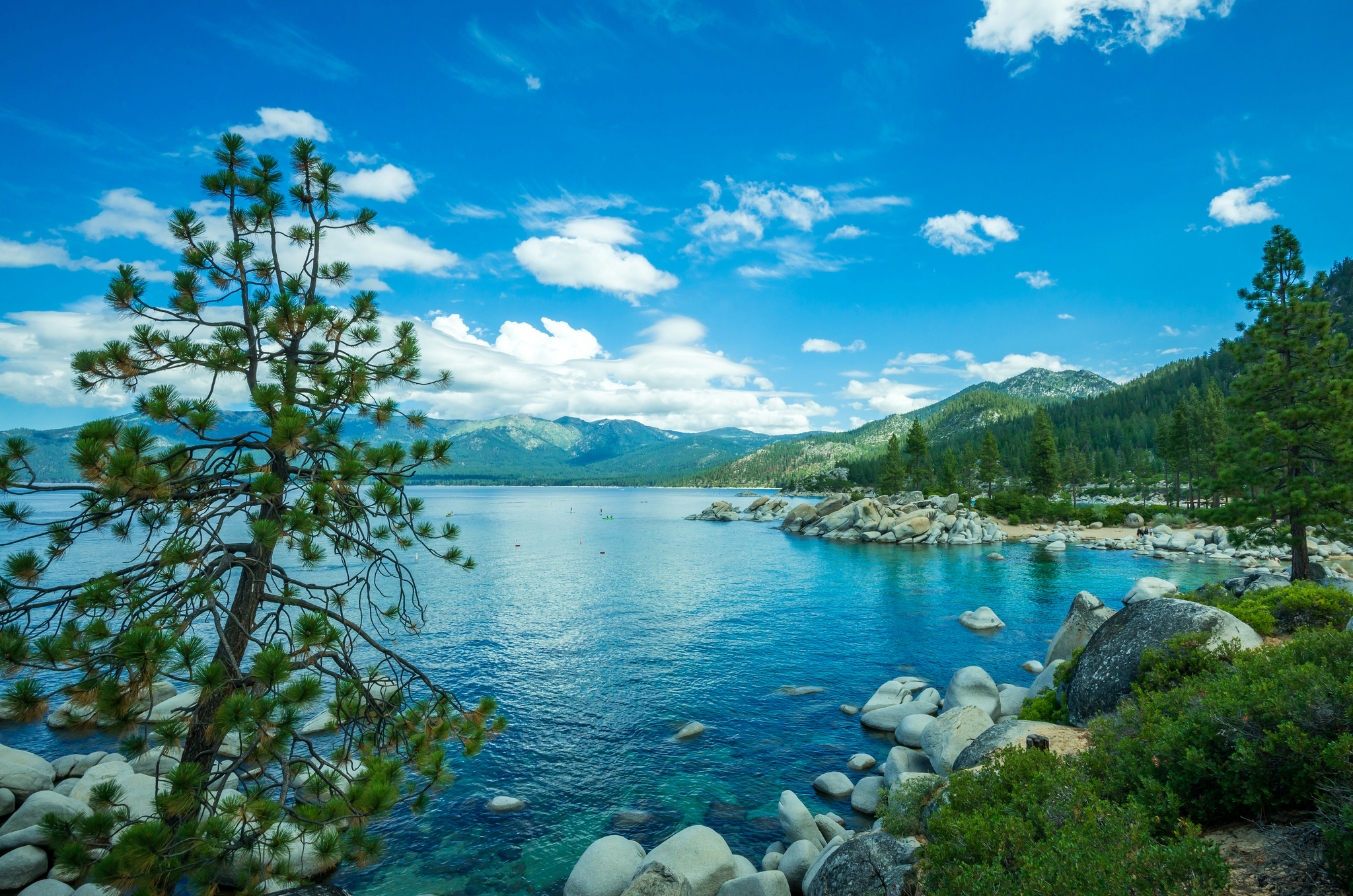374489 Bild herunterladen erde/natur, lake tahoe, wald, see, natur, baum, seen - Hintergrundbilder und Bildschirmschoner kostenlos