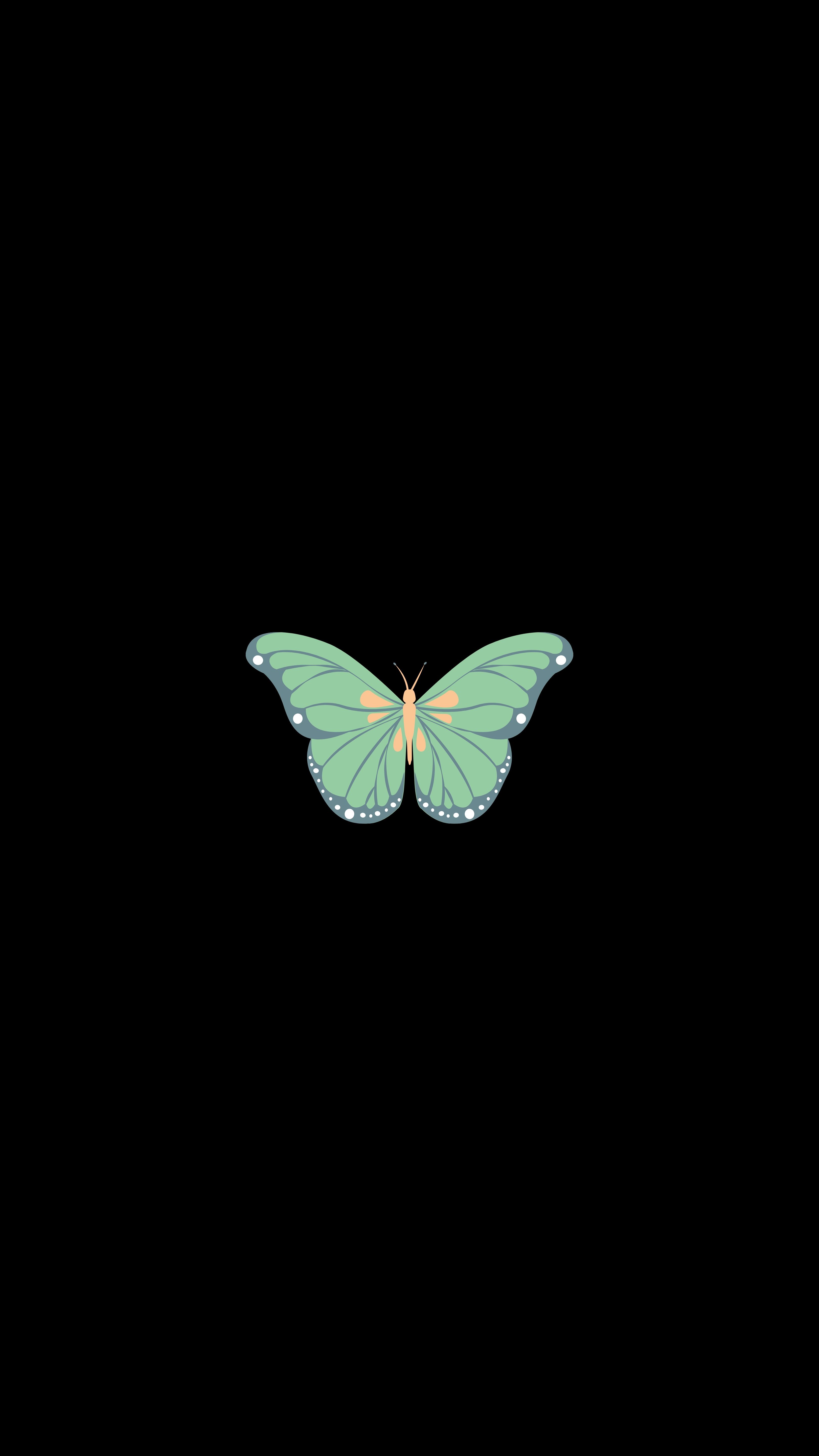 Laden Sie das Vektor, Schmetterling, Kunst, Minimalismus-Bild kostenlos auf Ihren PC-Desktop herunter