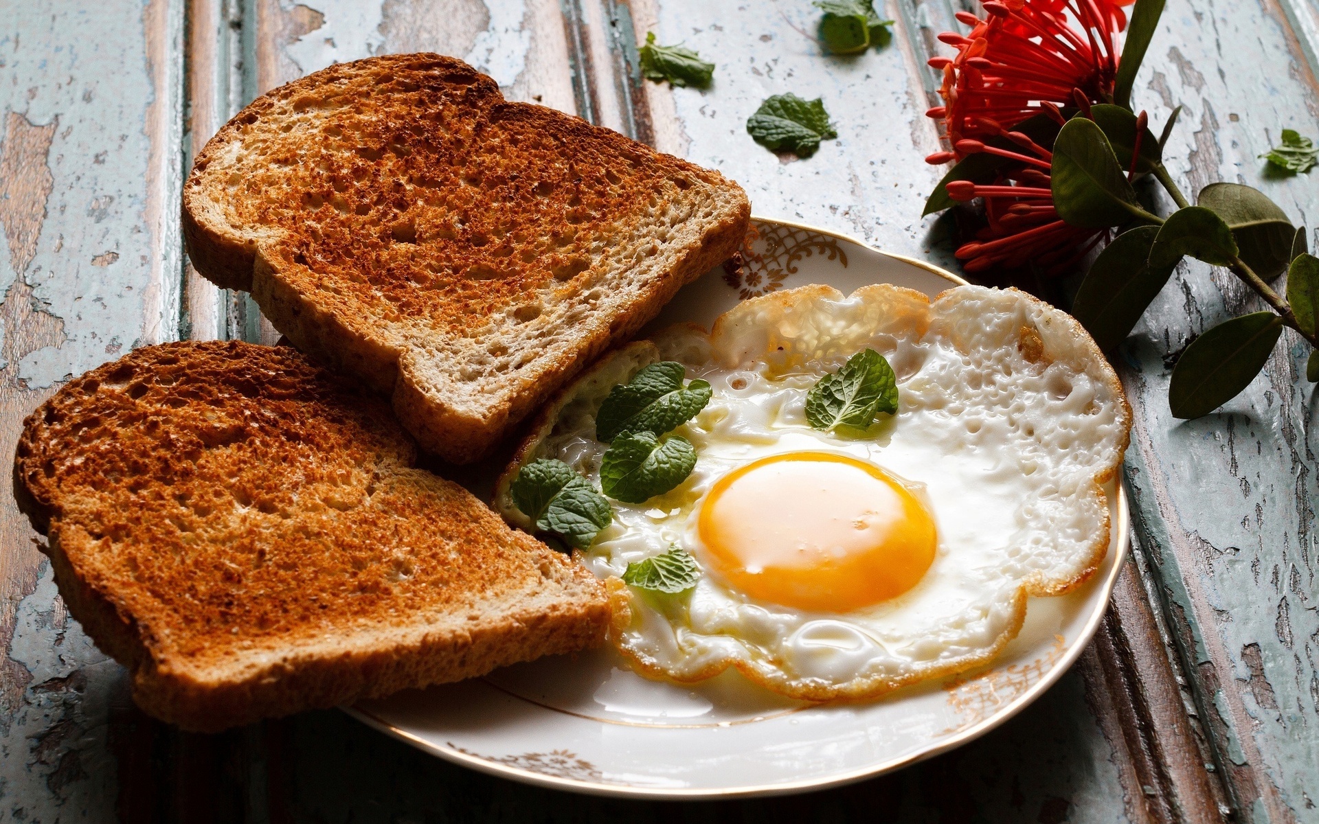 Скачати мобільні шпалери Яйце, Тост, Сніданок, Харчування безкоштовно.