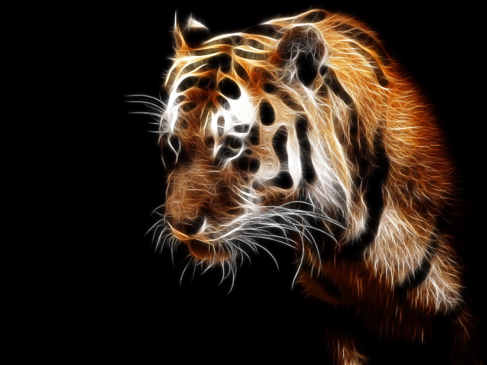 Téléchargez gratuitement l'image Animaux, Tigres, Art sur le bureau de votre PC