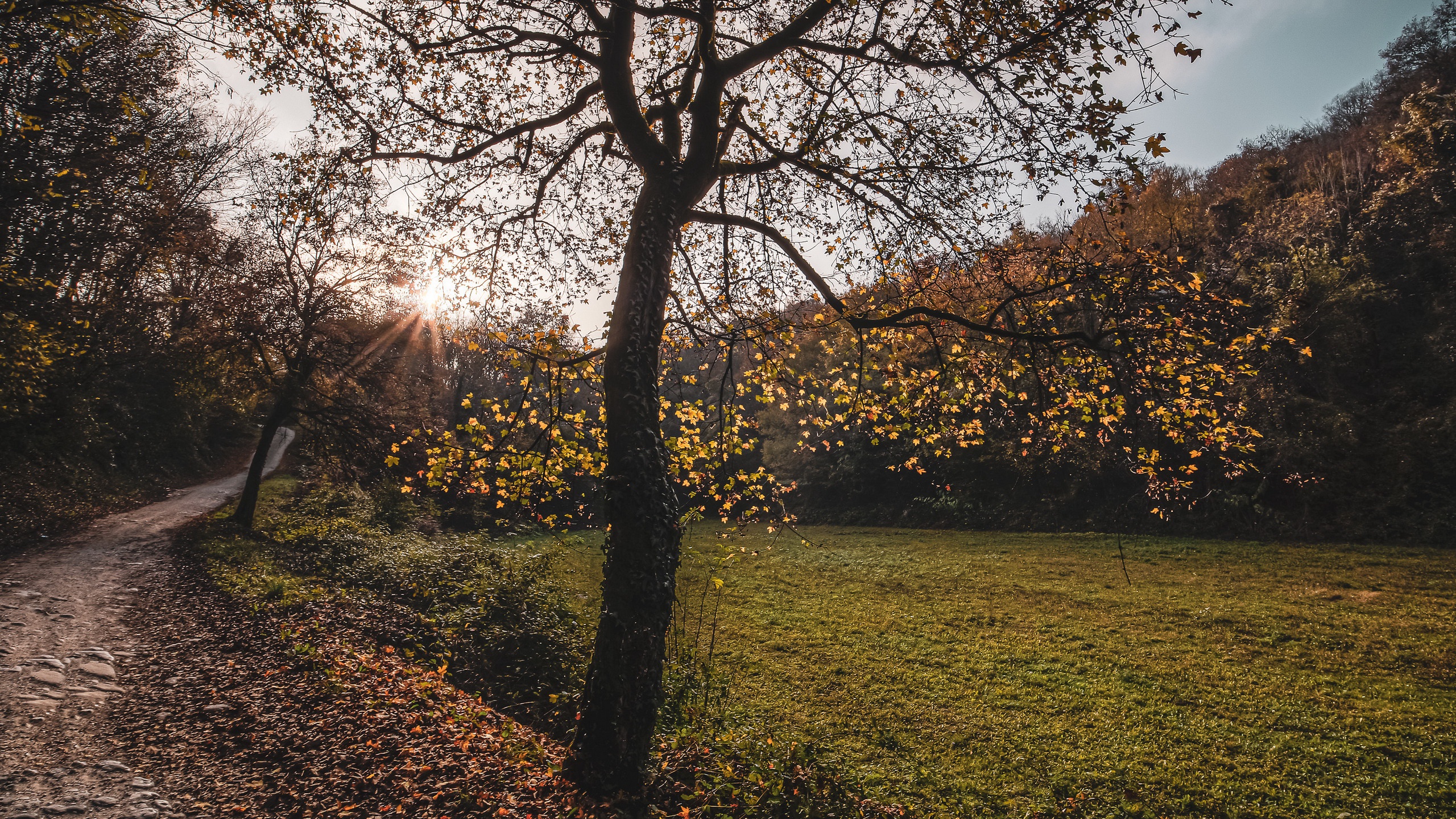 1510583 Hintergrundbild 128x600 kostenlos auf deinem Handy, lade Bilder  128x600 auf dein Handy herunter