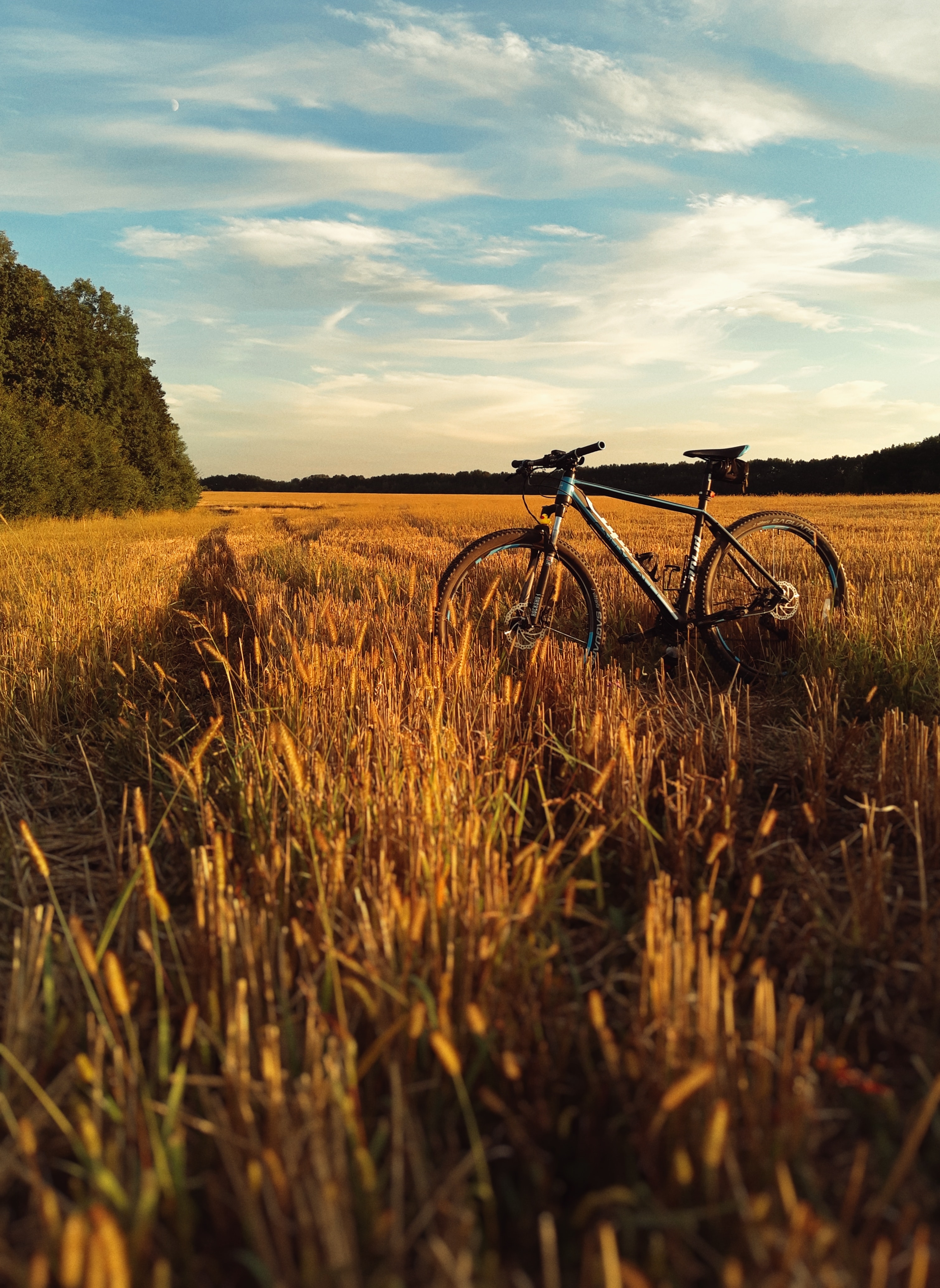 bicycle, grass, sky, horizon, miscellanea, miscellaneous, field lock screen backgrounds
