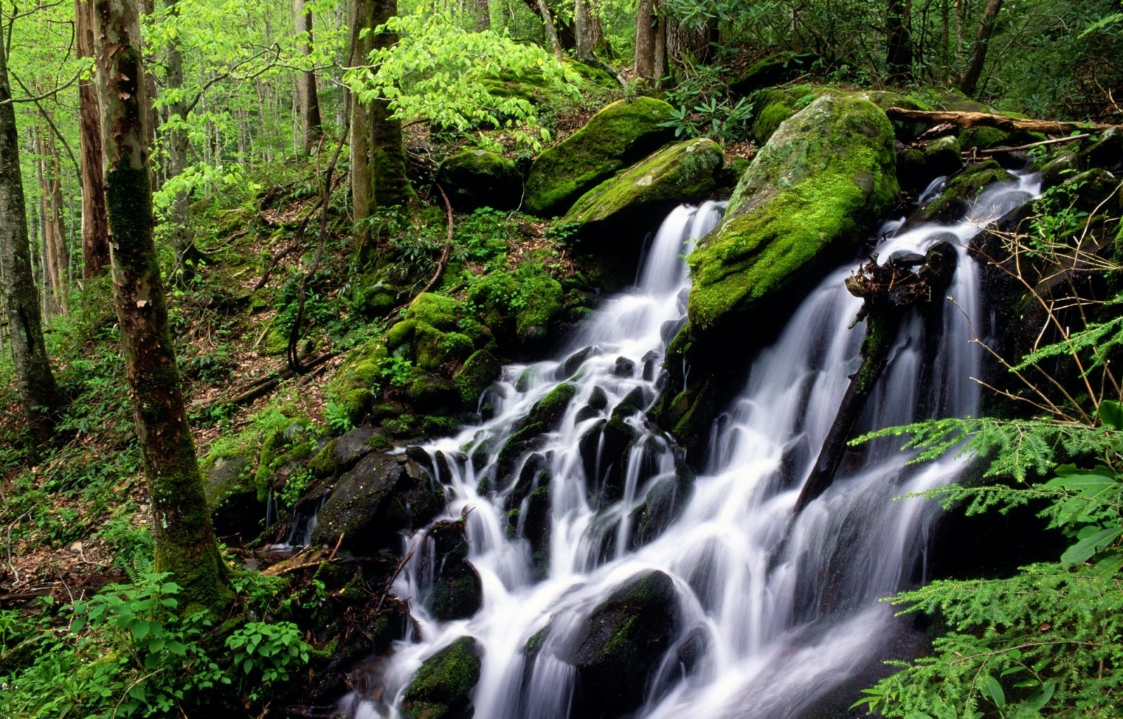 無料モバイル壁紙水, 滝, 風景をダウンロードします。