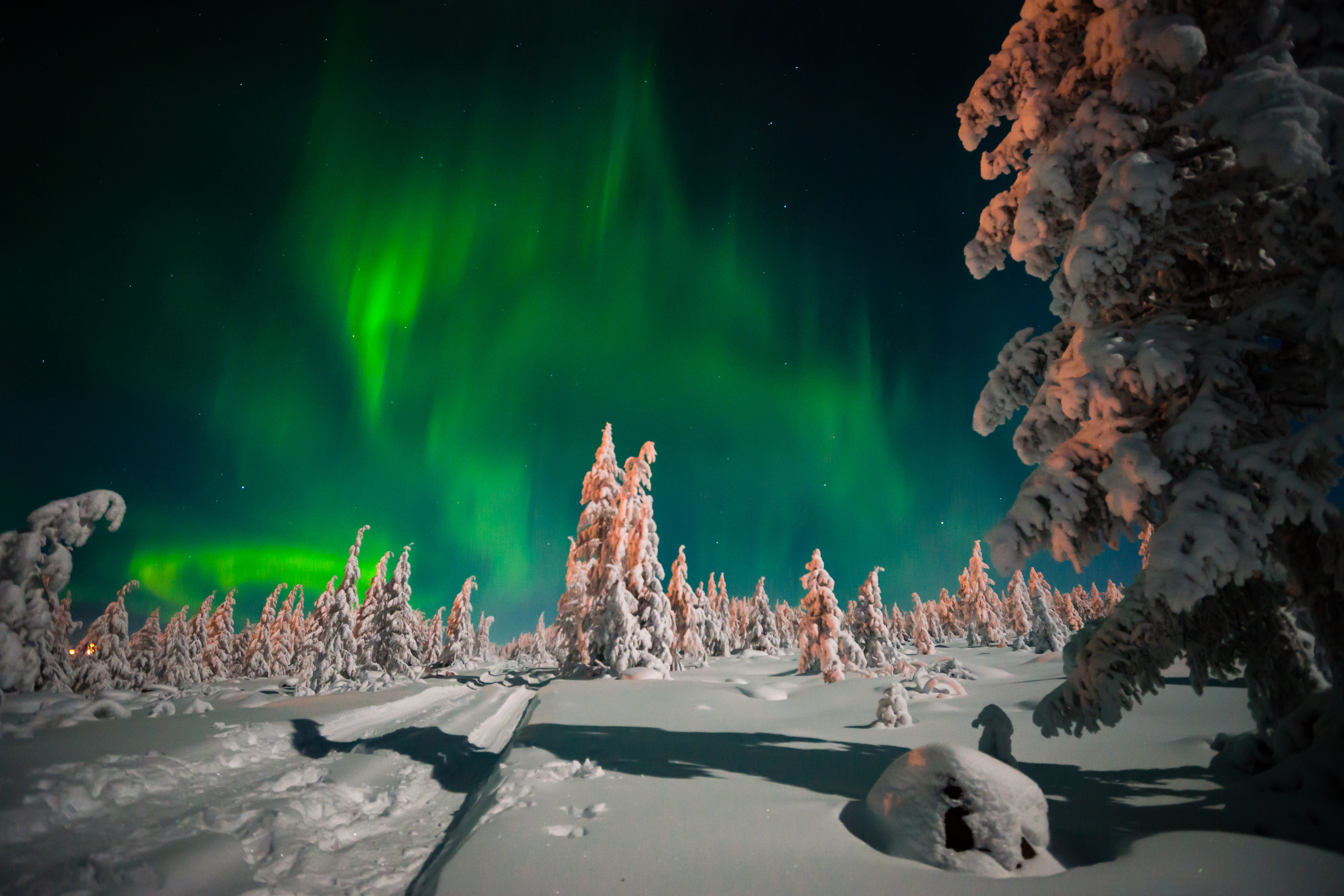 Download mobile wallpaper Winter, Nature, Sky, Night, Snow, Light, Earth, Aurora Borealis for free.