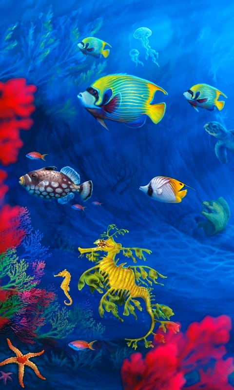 無料モバイル壁紙動物, 魚, 色, 水中, 海の生物をダウンロードします。