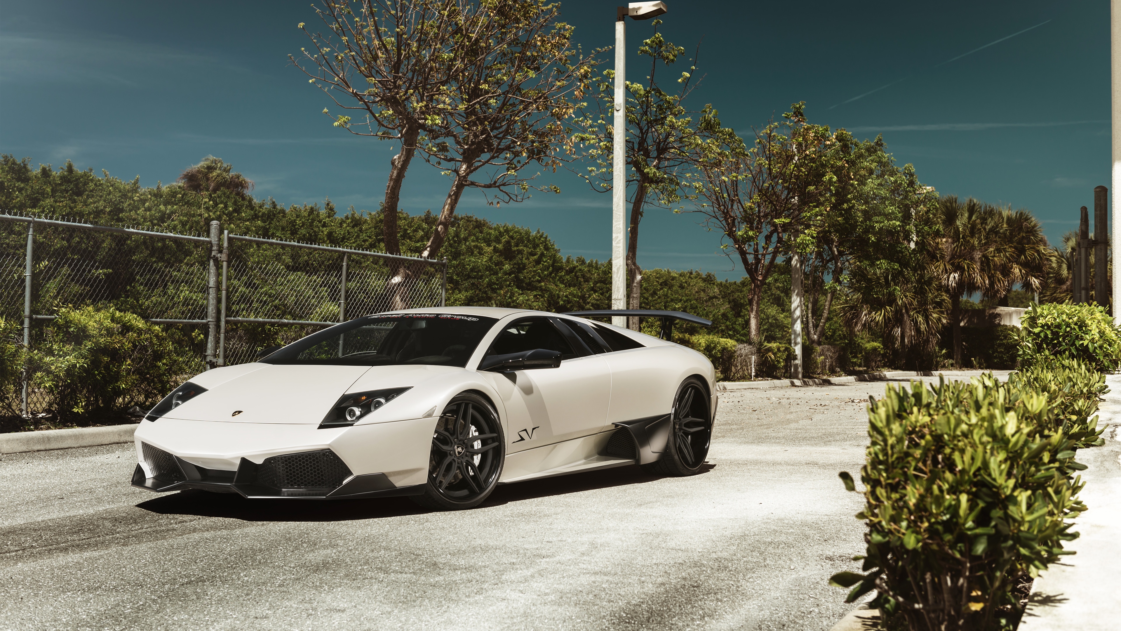 Download mobile wallpaper Lamborghini, Car, Supercar, Vehicles, Lamborghini Murciélago, White Car for free.