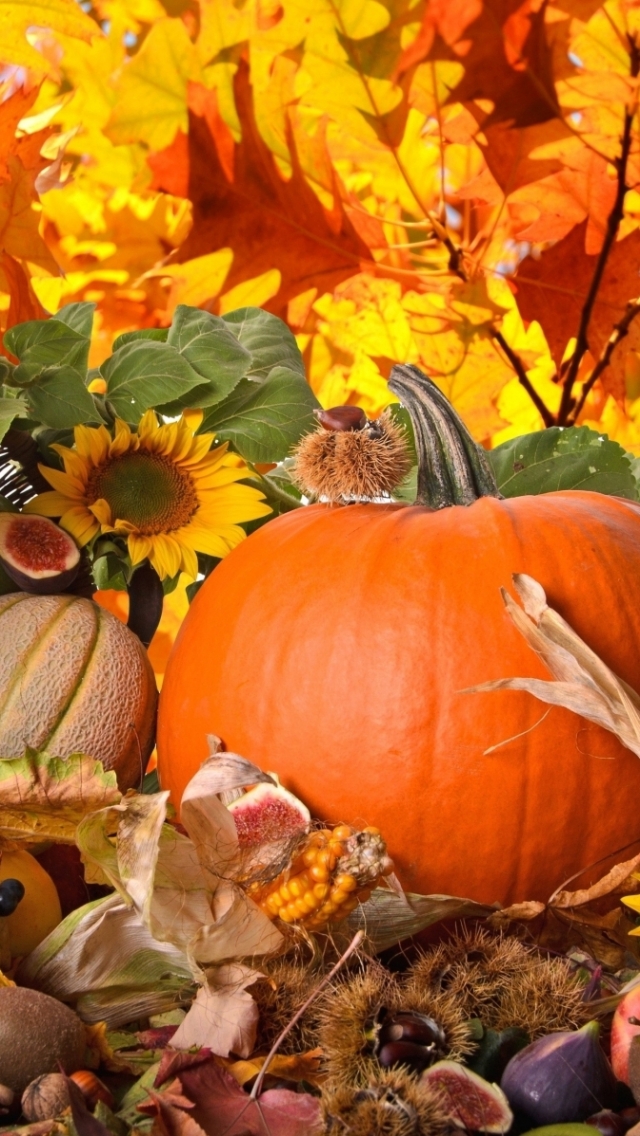 無料モバイル壁紙自然, 秋, 葉, 花, シーズン, 感謝祭, ホリデーをダウンロードします。