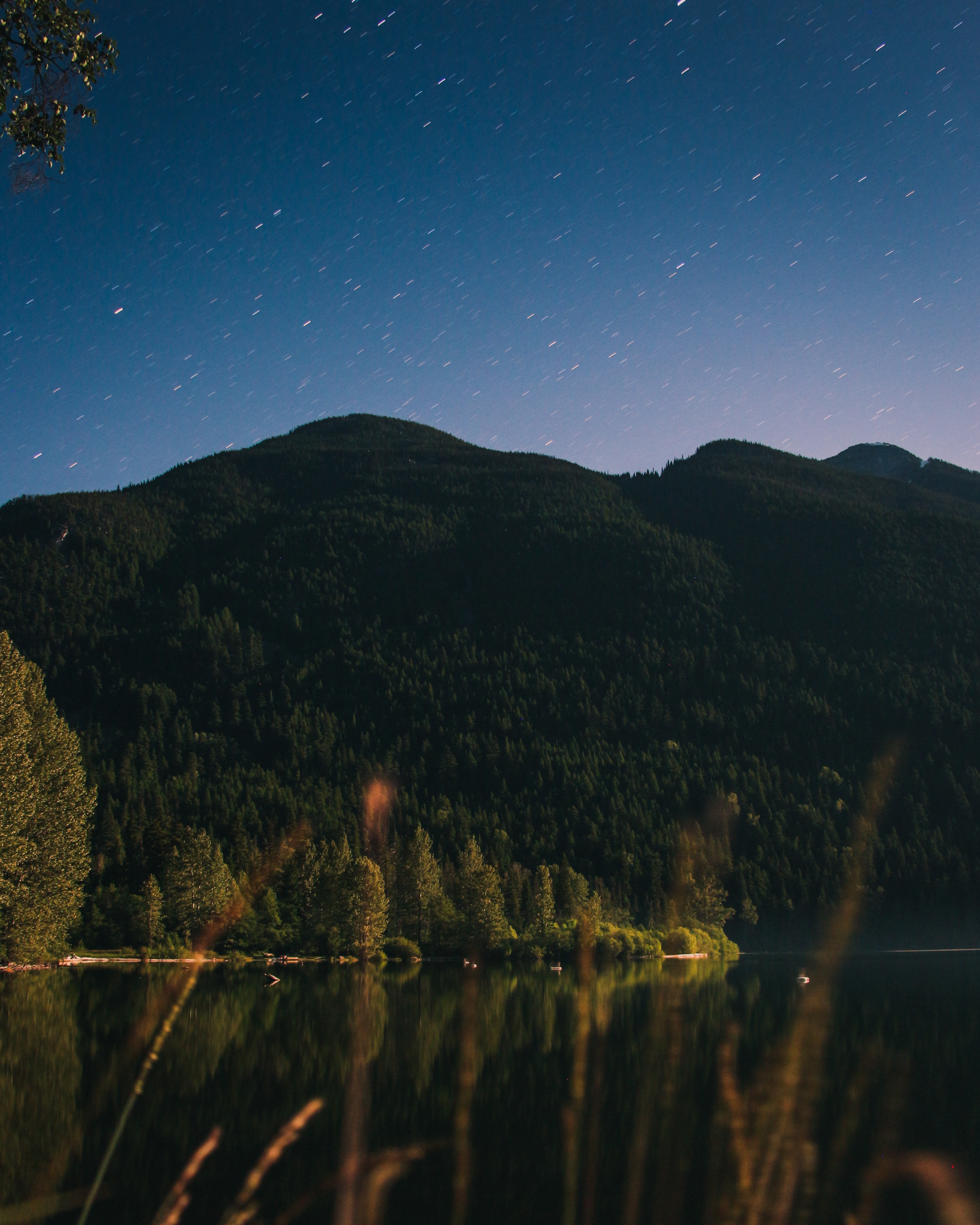 Download mobile wallpaper Forest, Trees, Lake, Mountain, Nature, Starry Sky for free.